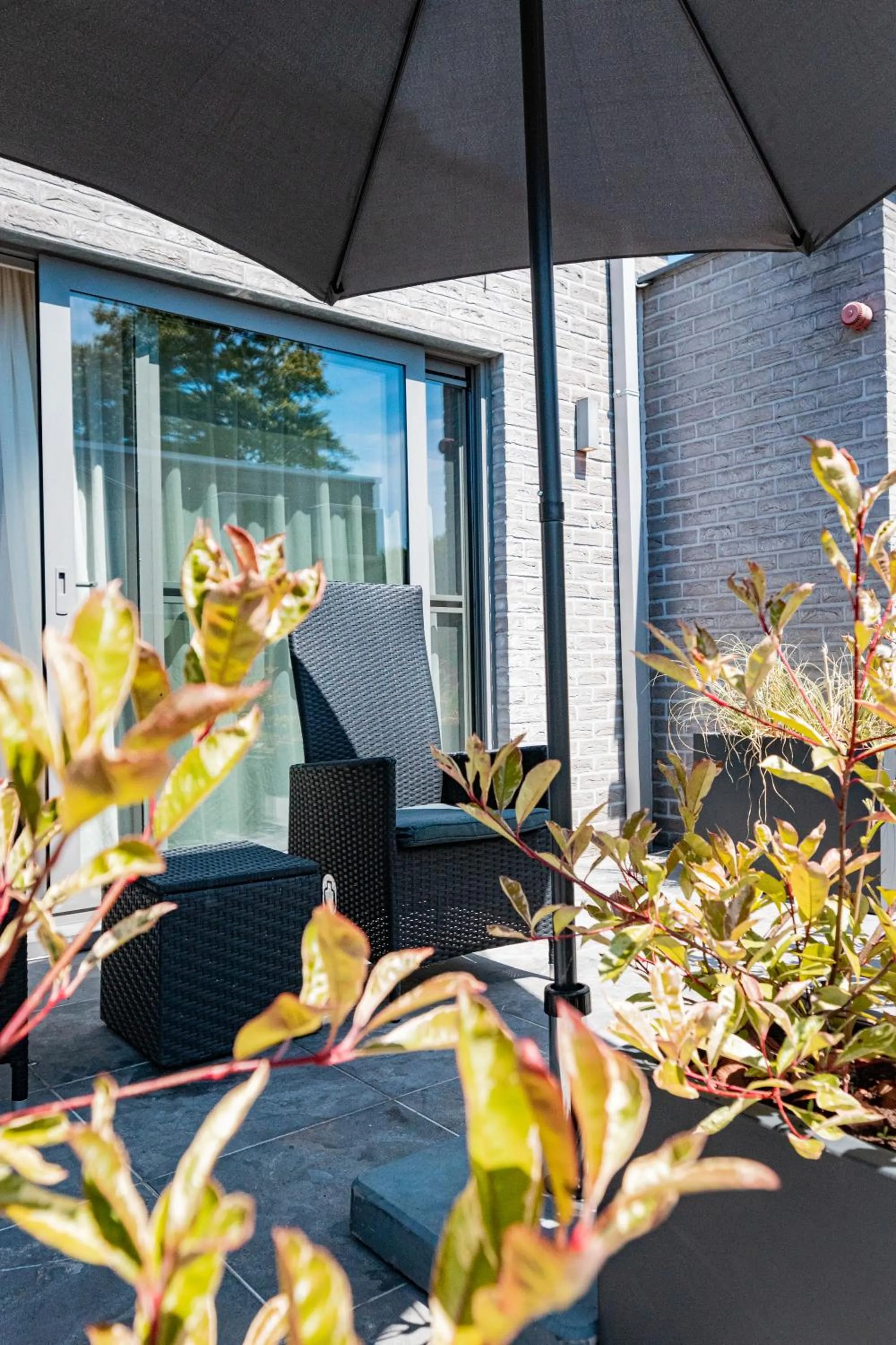 Balcony/Terrace in B&B Abalona