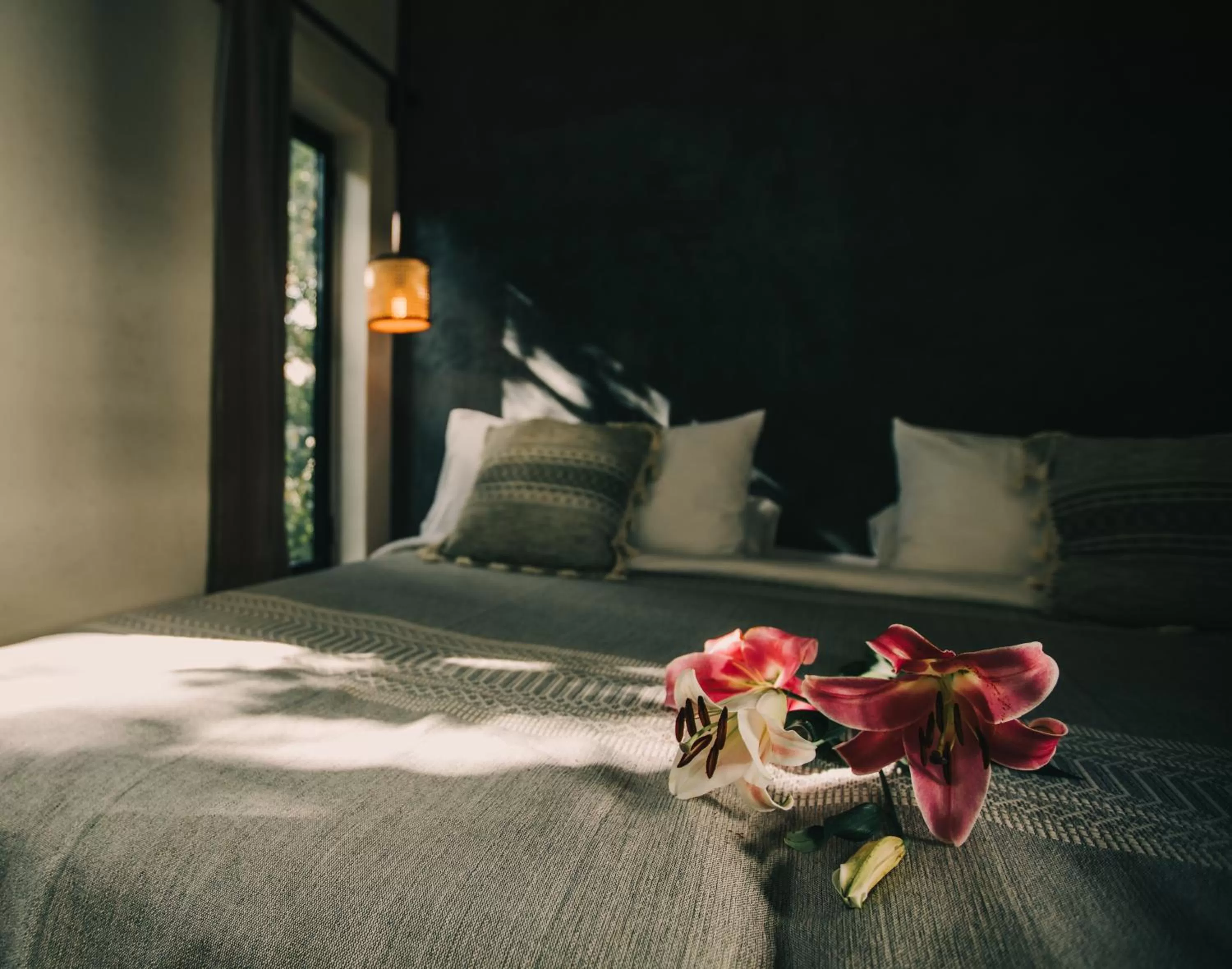 Bed in Ambre & Epices Jungle Hotel & Spa