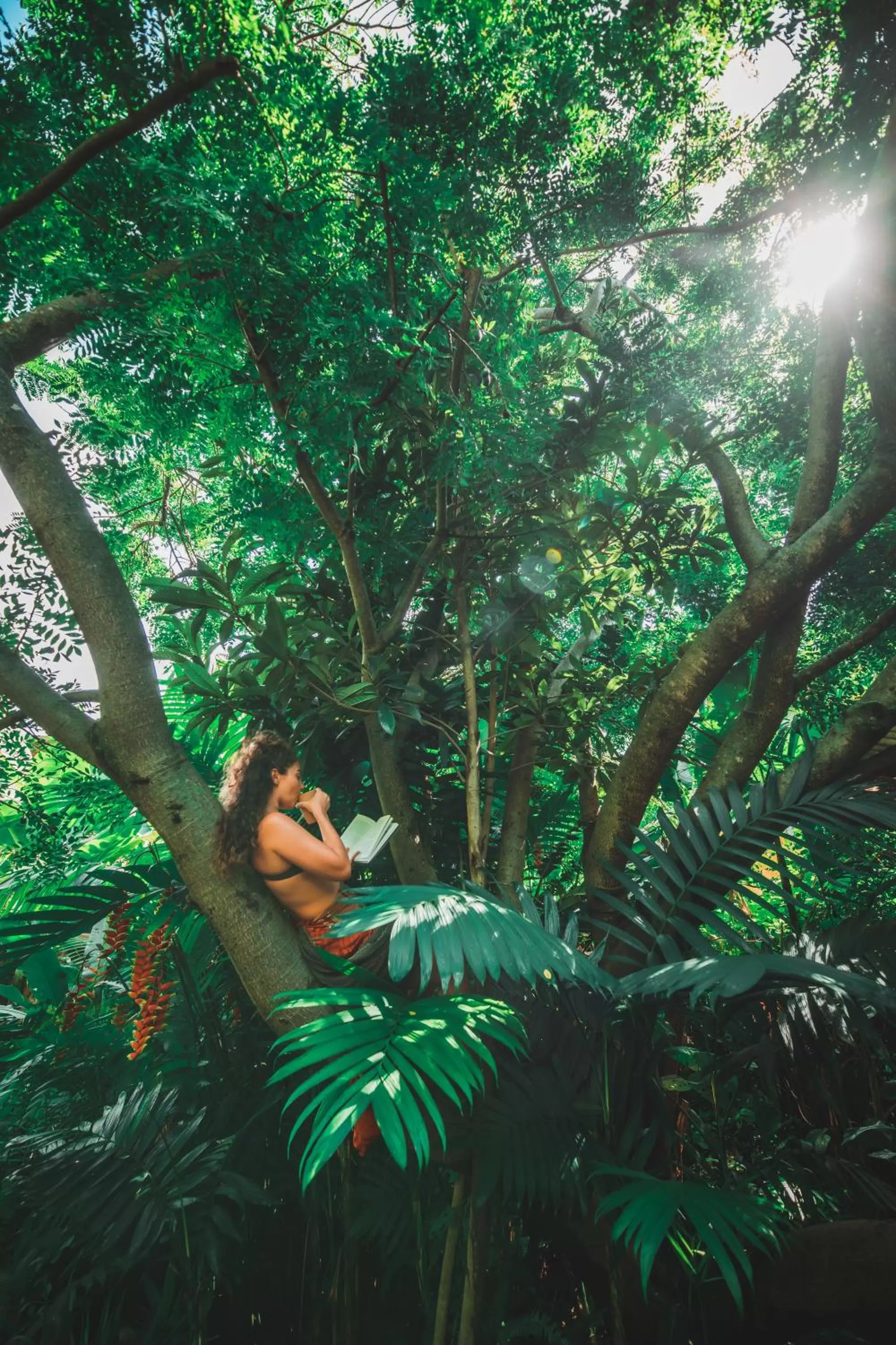 Natural landscape in Lush Atitlán