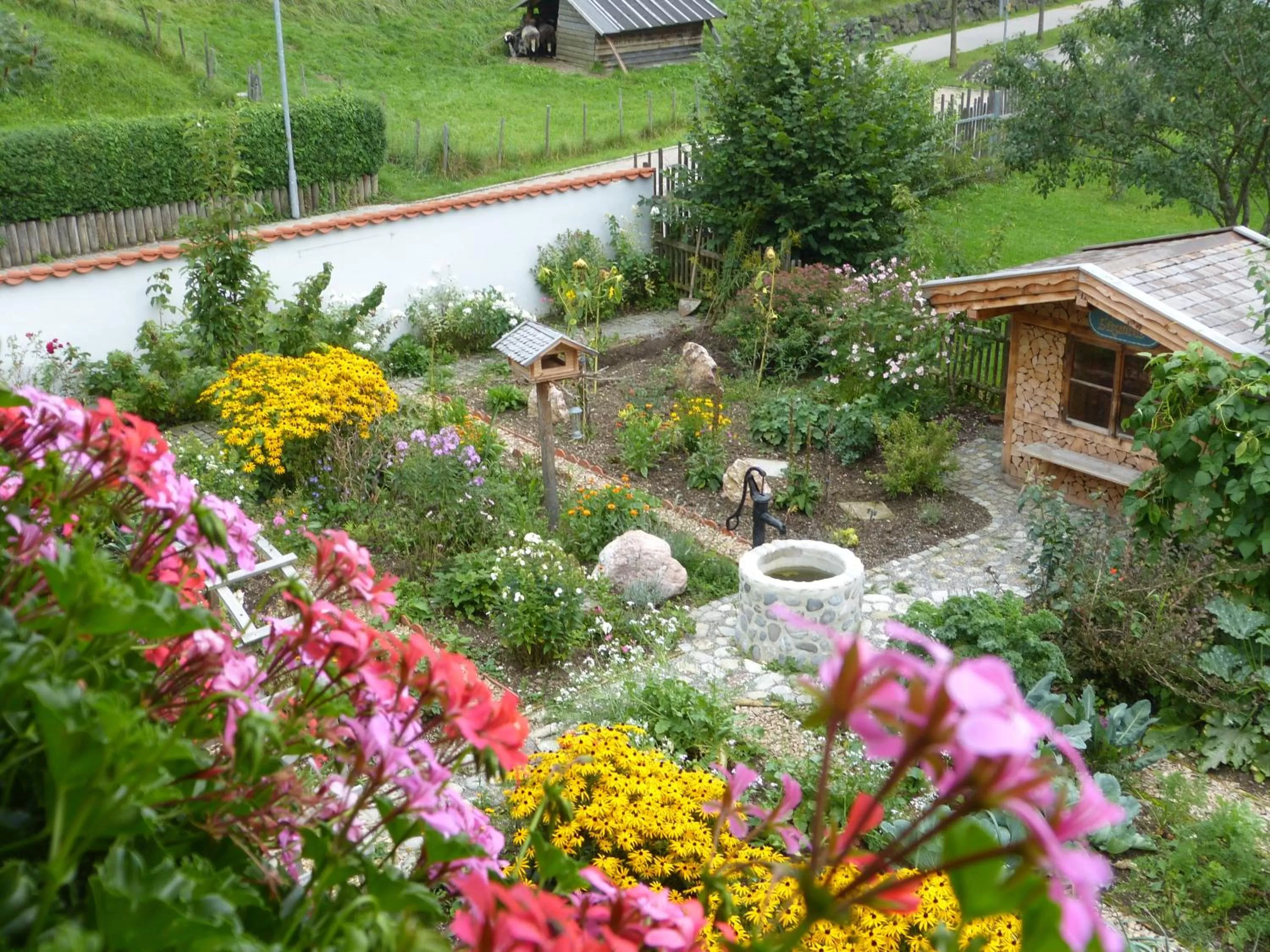 Garden in Suzanne's B&B & Gardens