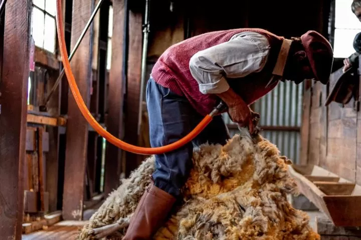 Hostería El Galpón Del Glaciar