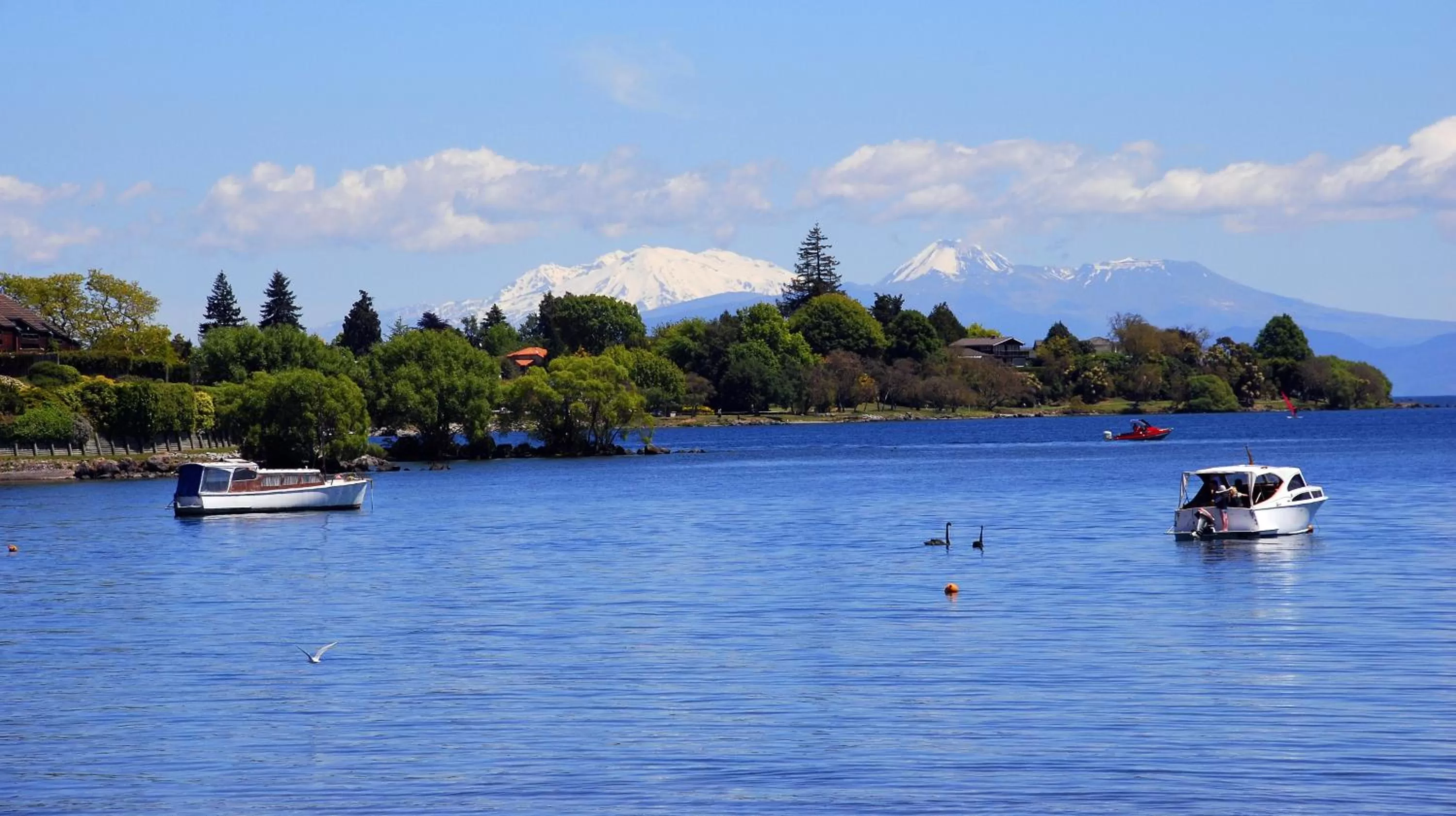 Natural landscape in Millennium Hotel & Resort Manuels Taupo