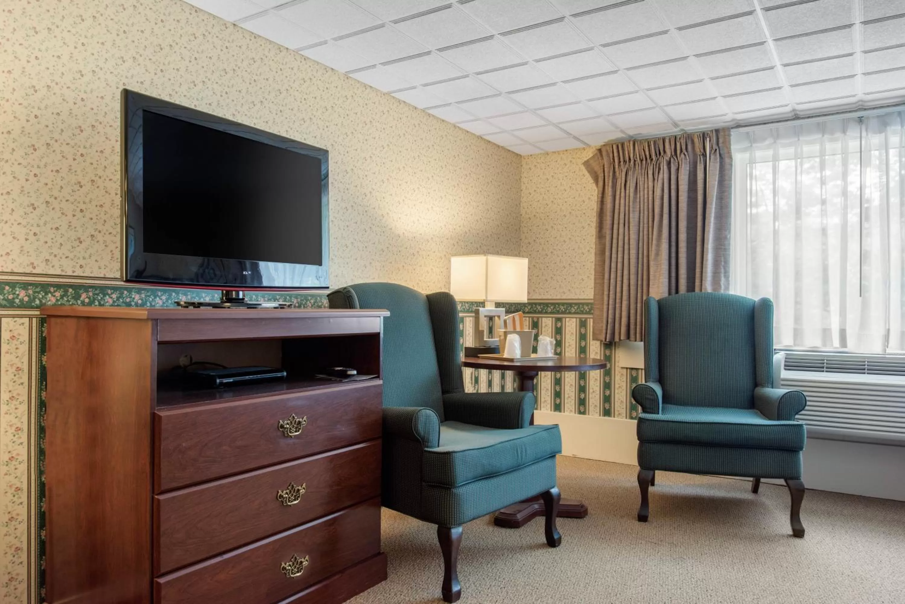 TV and multimedia in Coachman Inn