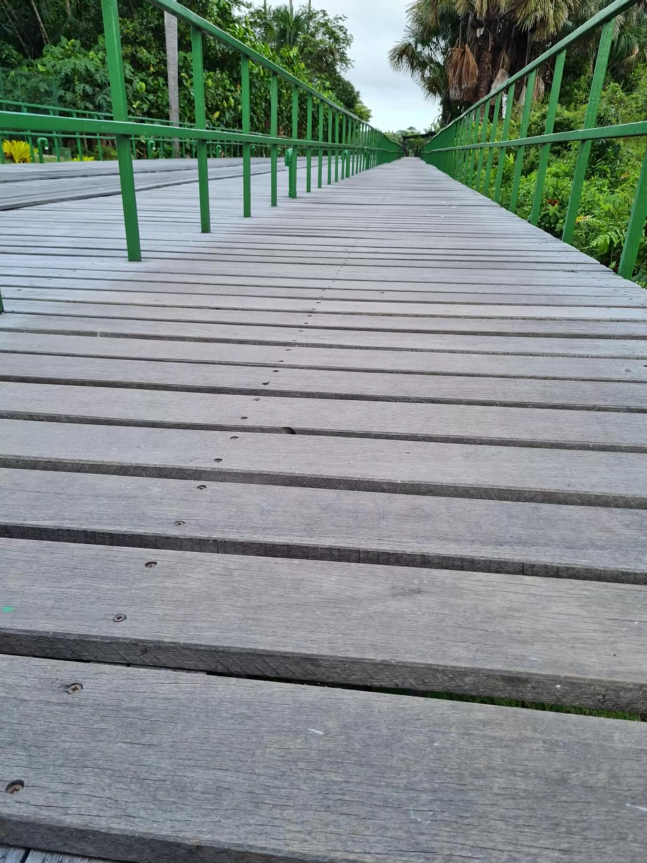 Entertainment in Gran Lençóis Flat Barreirinhas