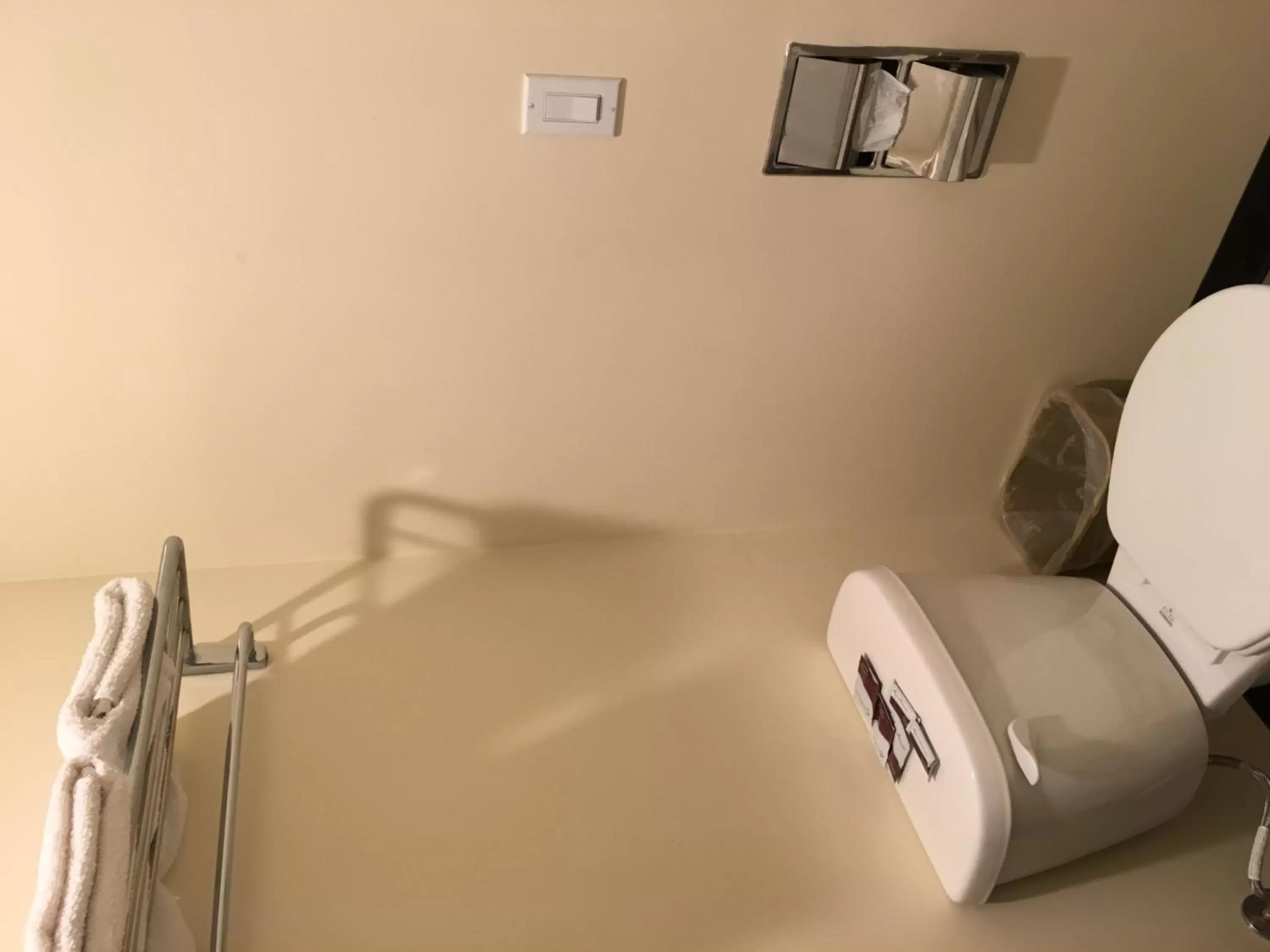 Toilet in Lincoln Park Motel