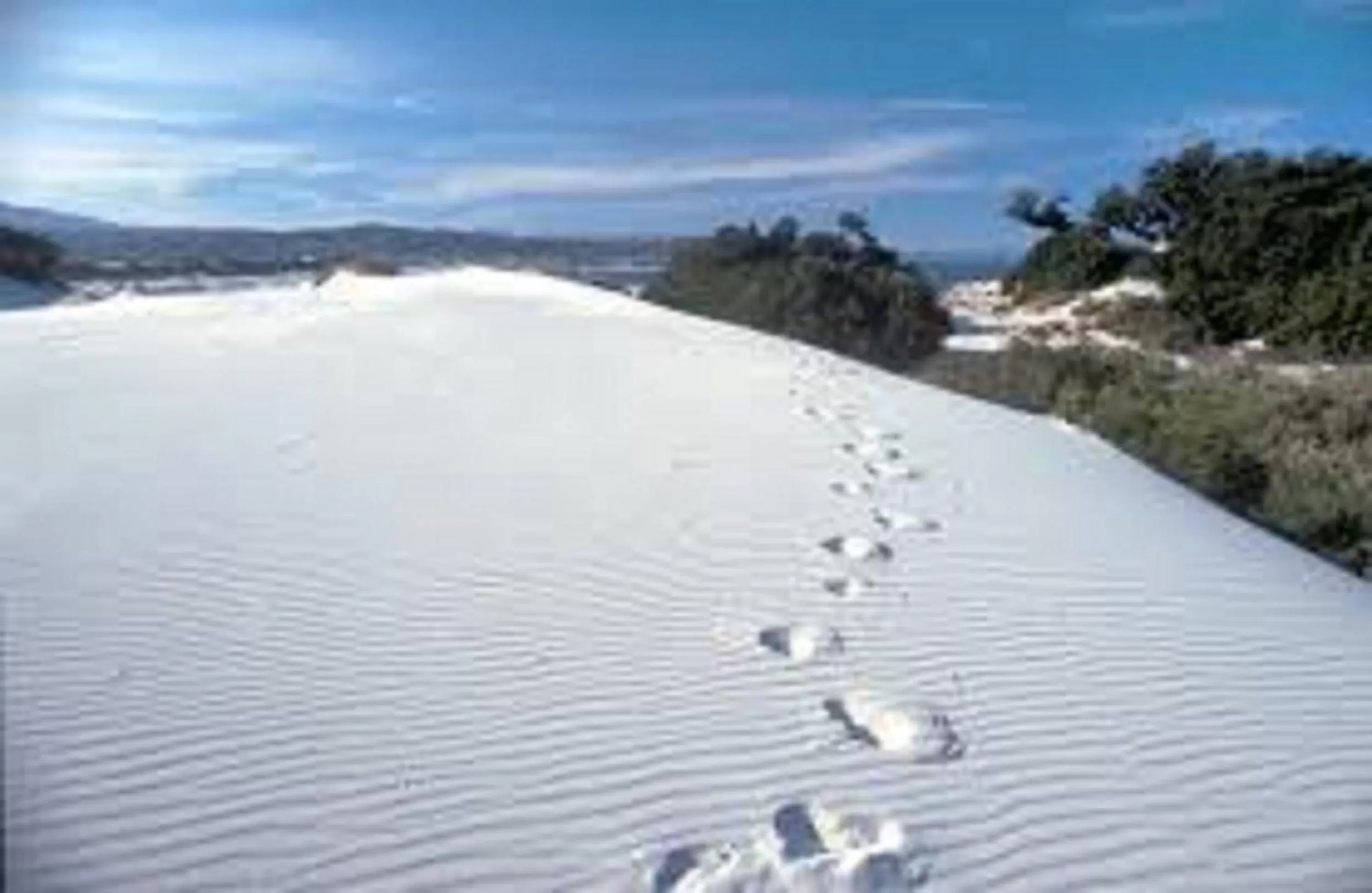 Other in Gentarrubia