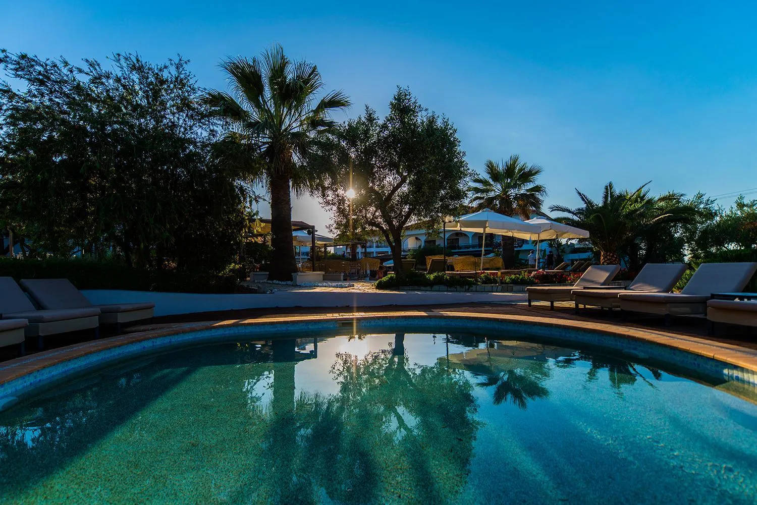 Swimming pool in Flegra Palace