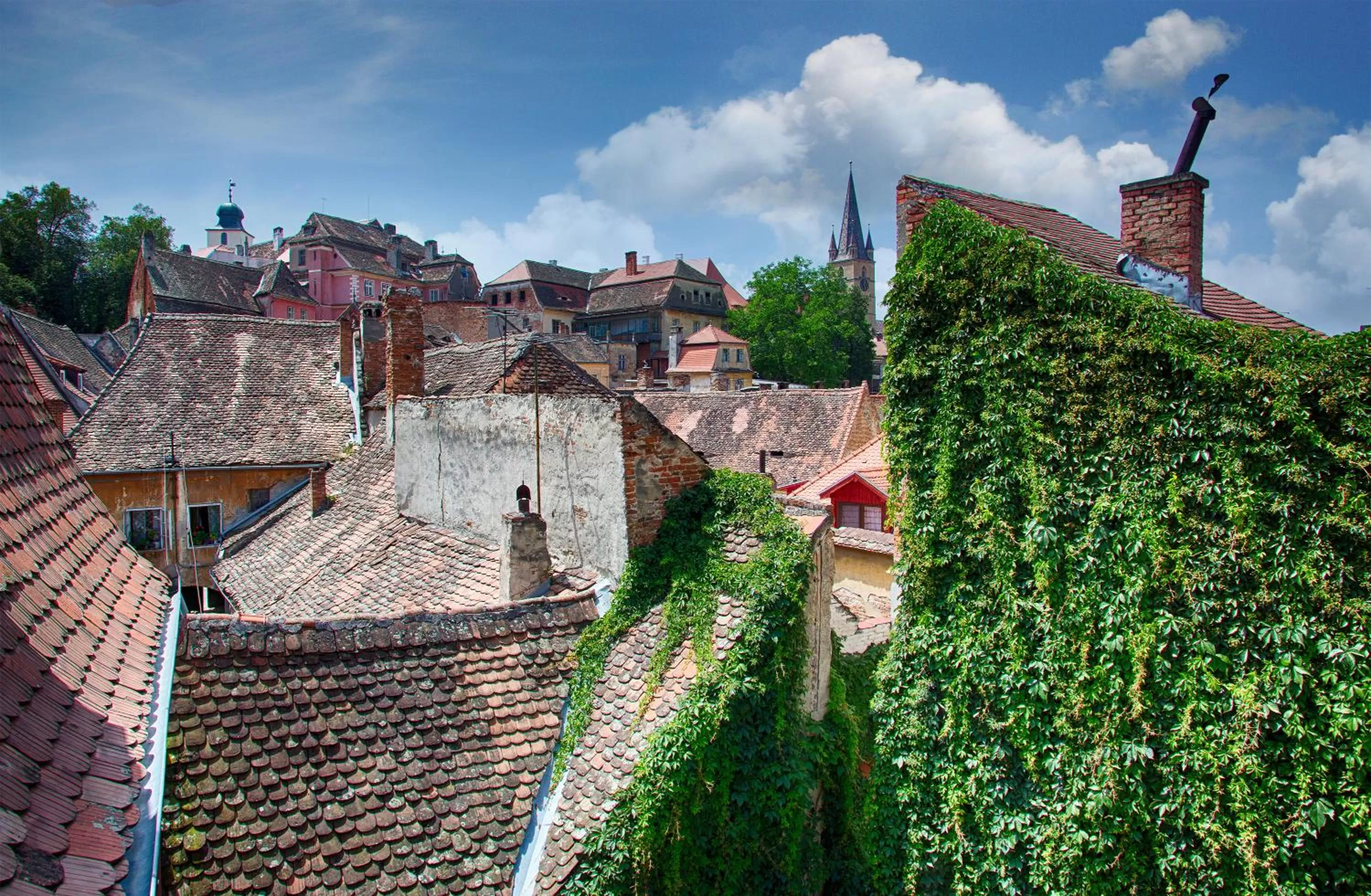 Property building in Goldsmith