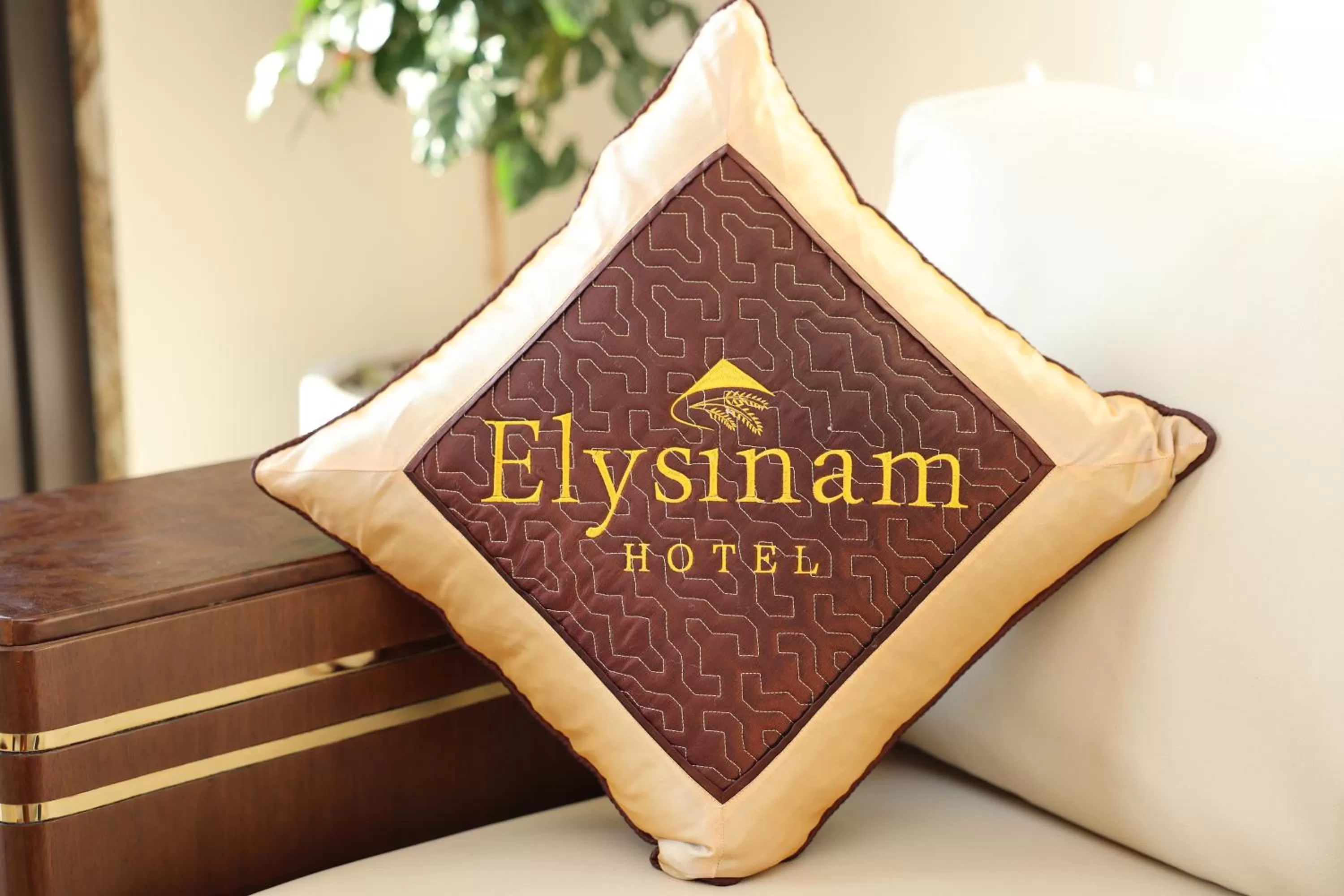 Property logo or sign in Elysinam Boutique Hotel Ha Long
