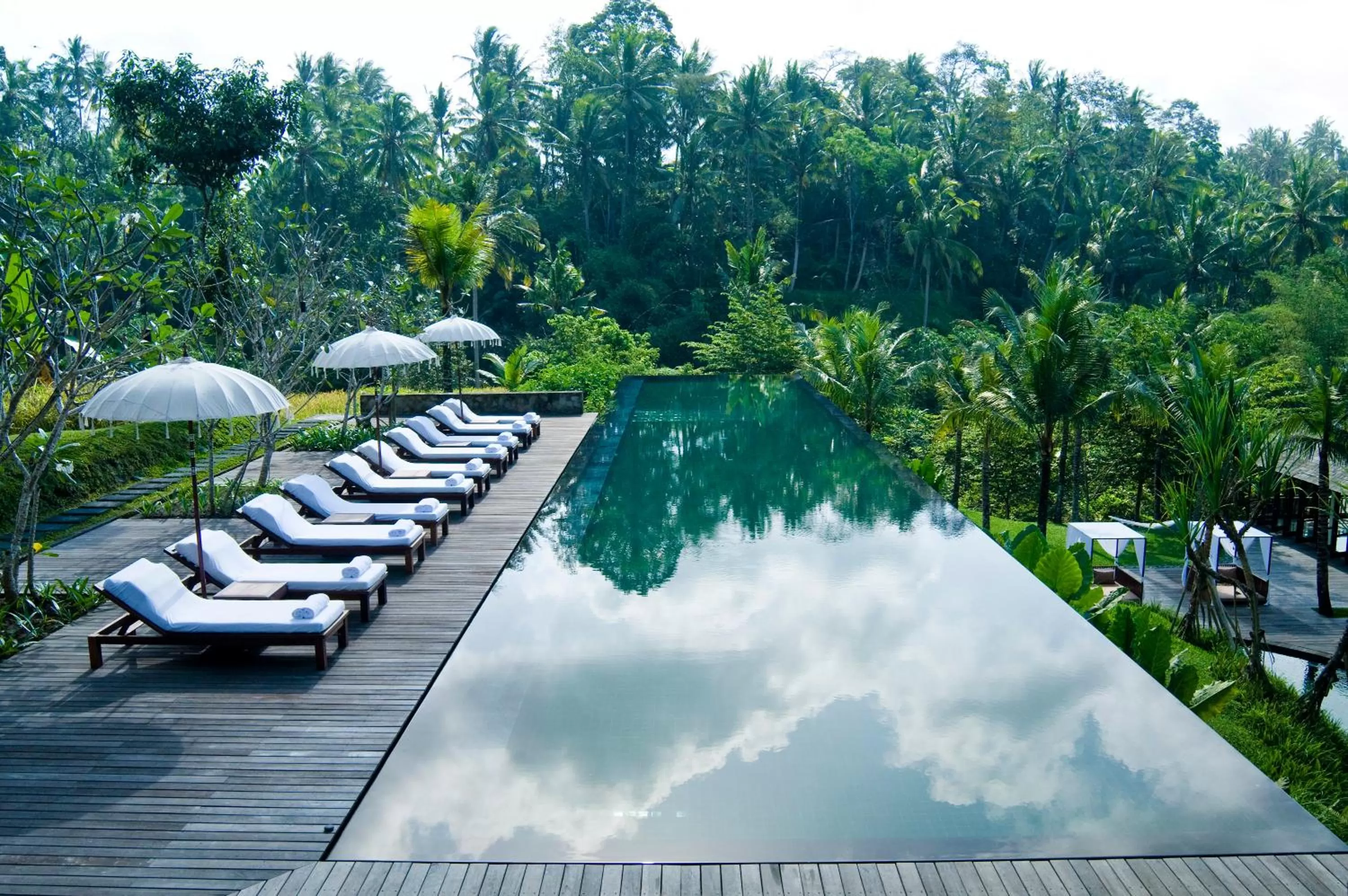 Natural landscape in Komaneka at Bisma Ubud
