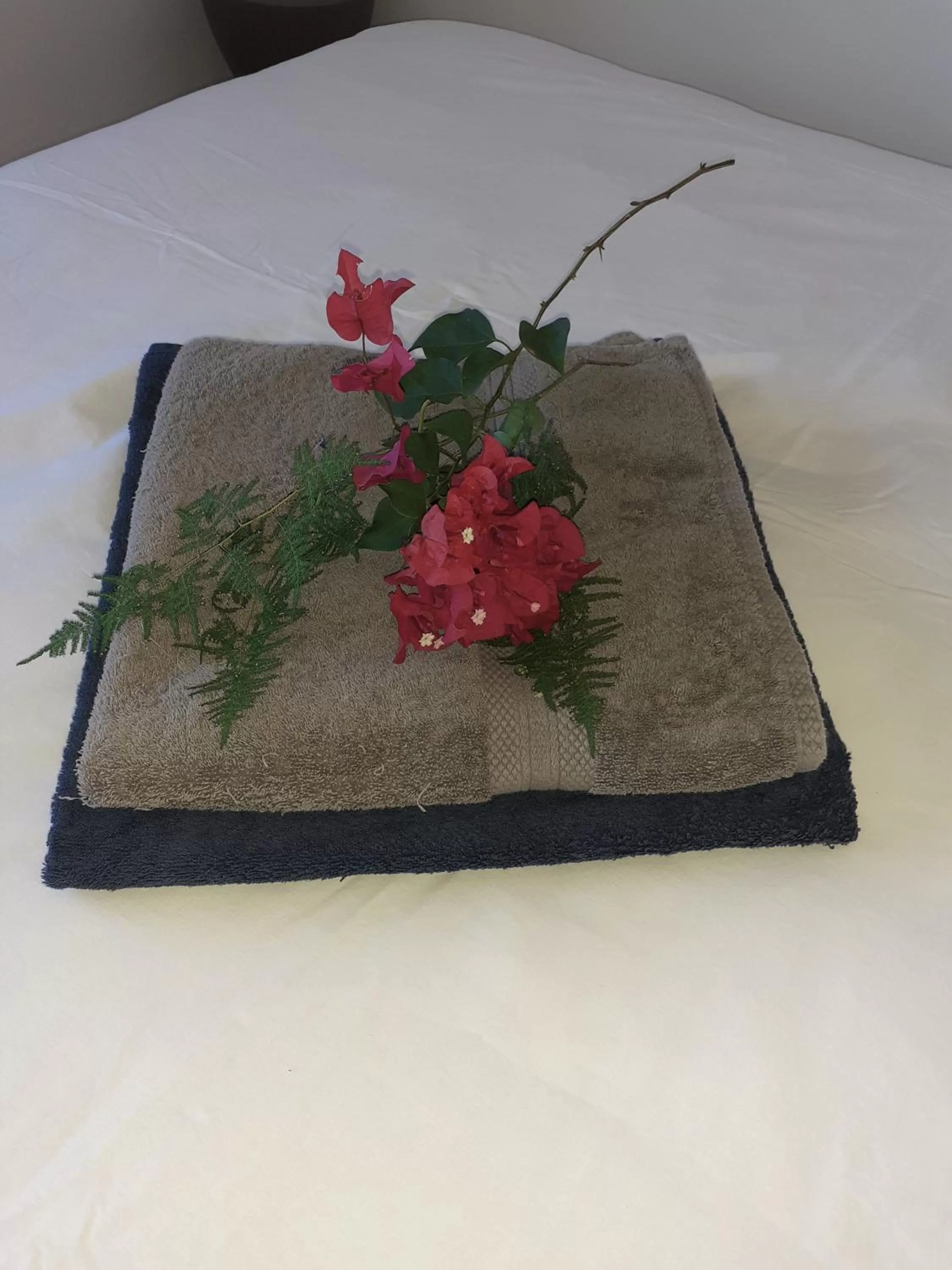 Decorative detail, Food in Casa Loro Loco B&B