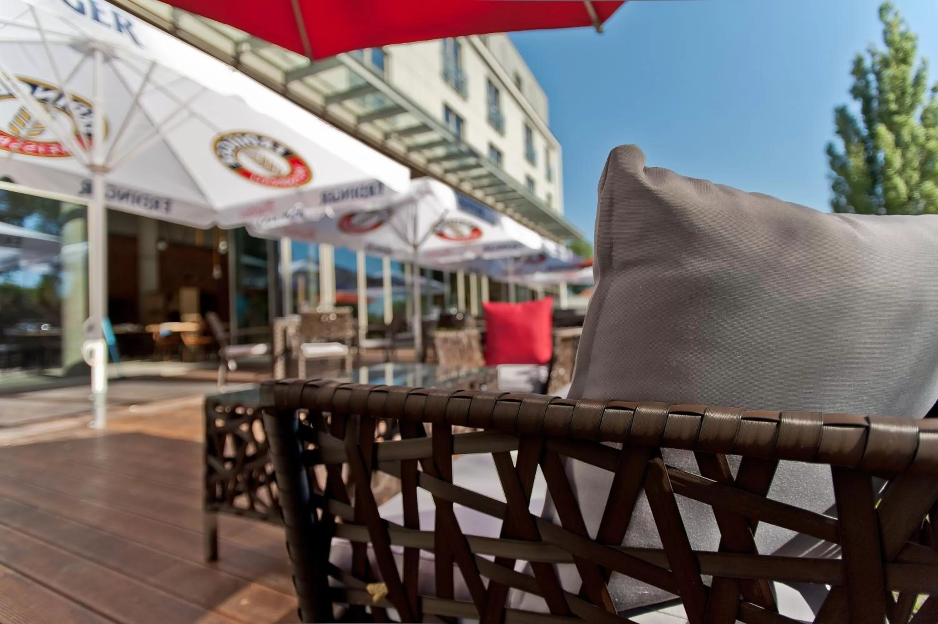 Restaurant/places to eat in Hotel Forza