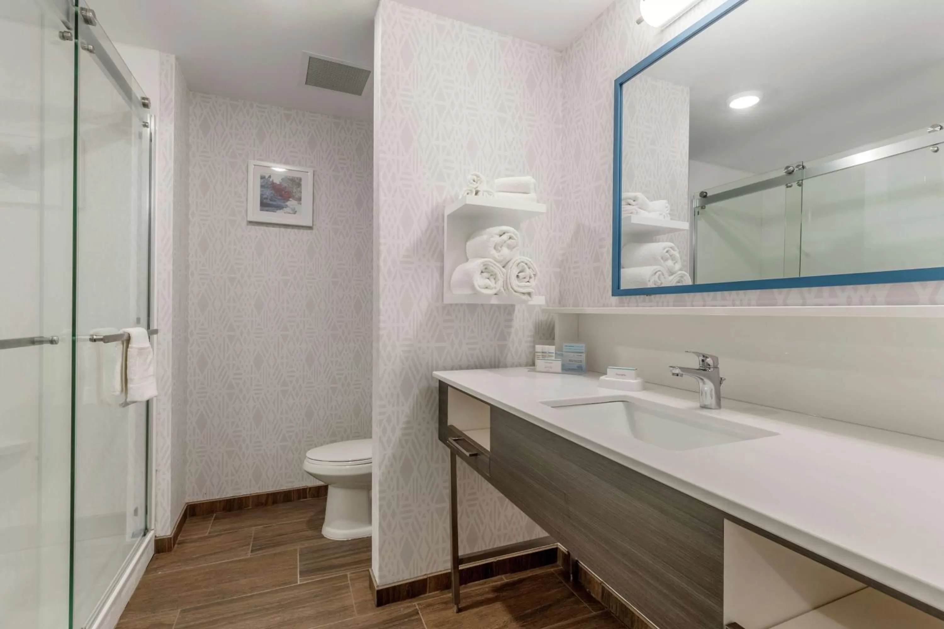 Bathroom in Hampton Inn Camden, SC