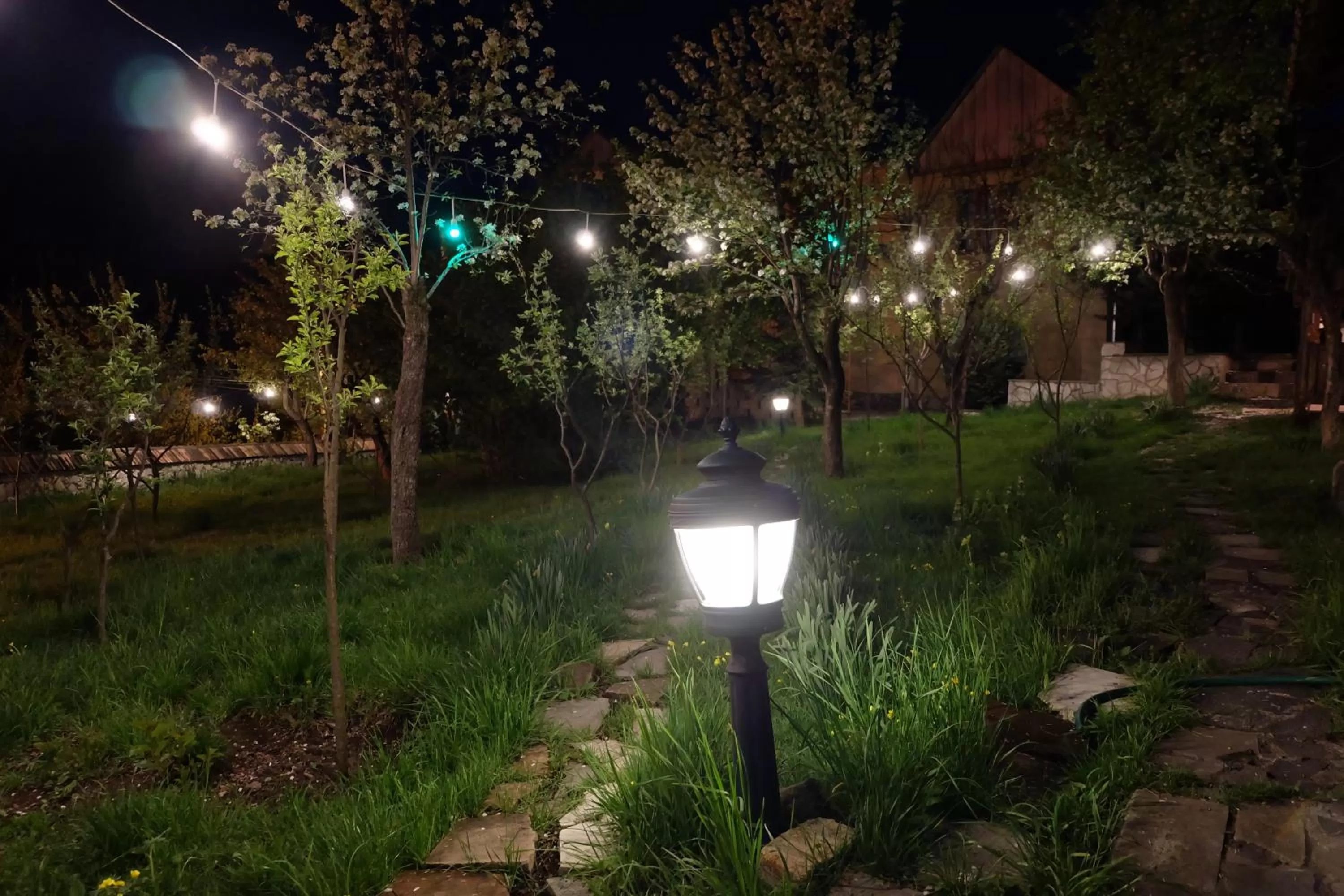 Night, Garden in Dil Hill by Sam