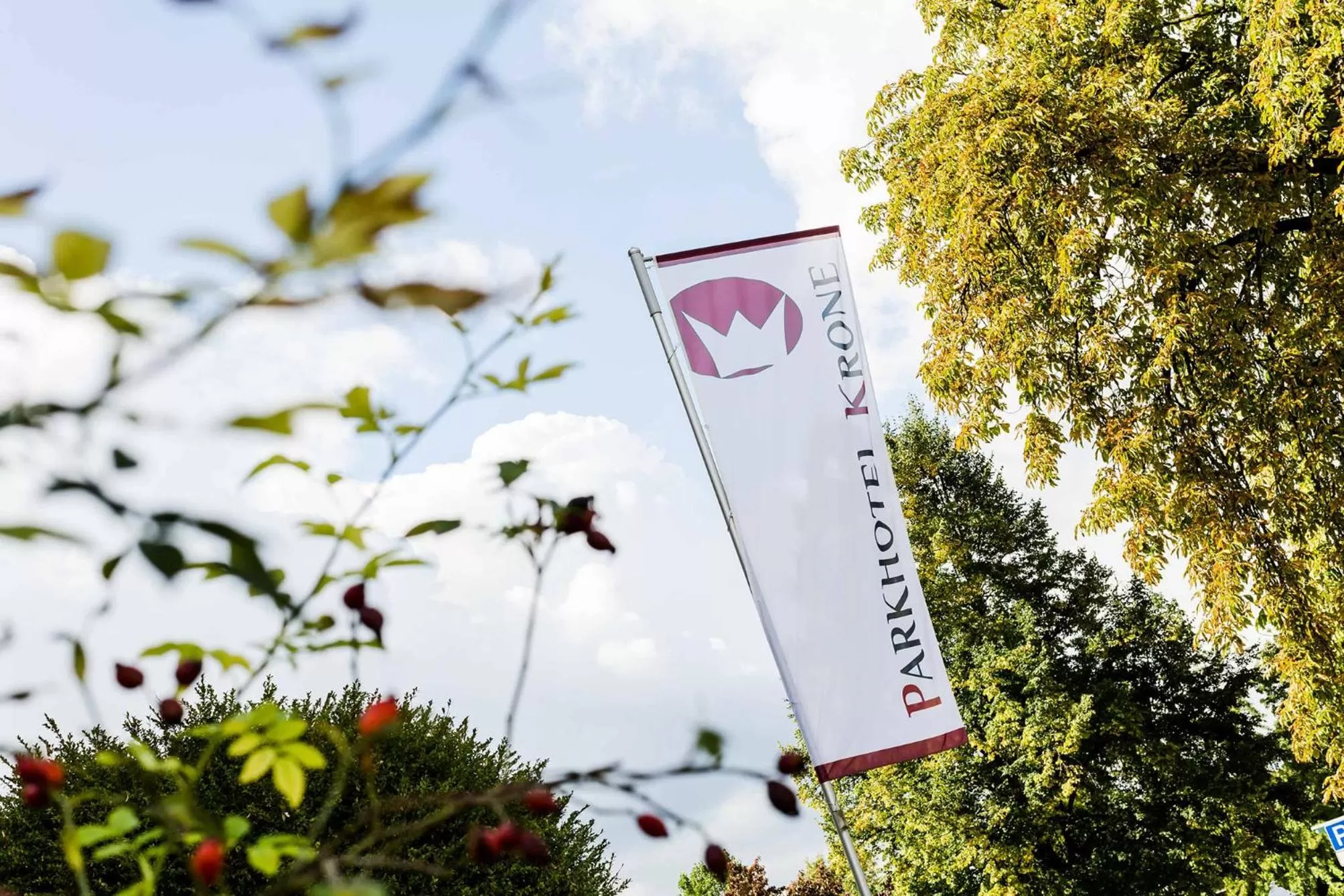 Property logo or sign in Parkhotel Krone