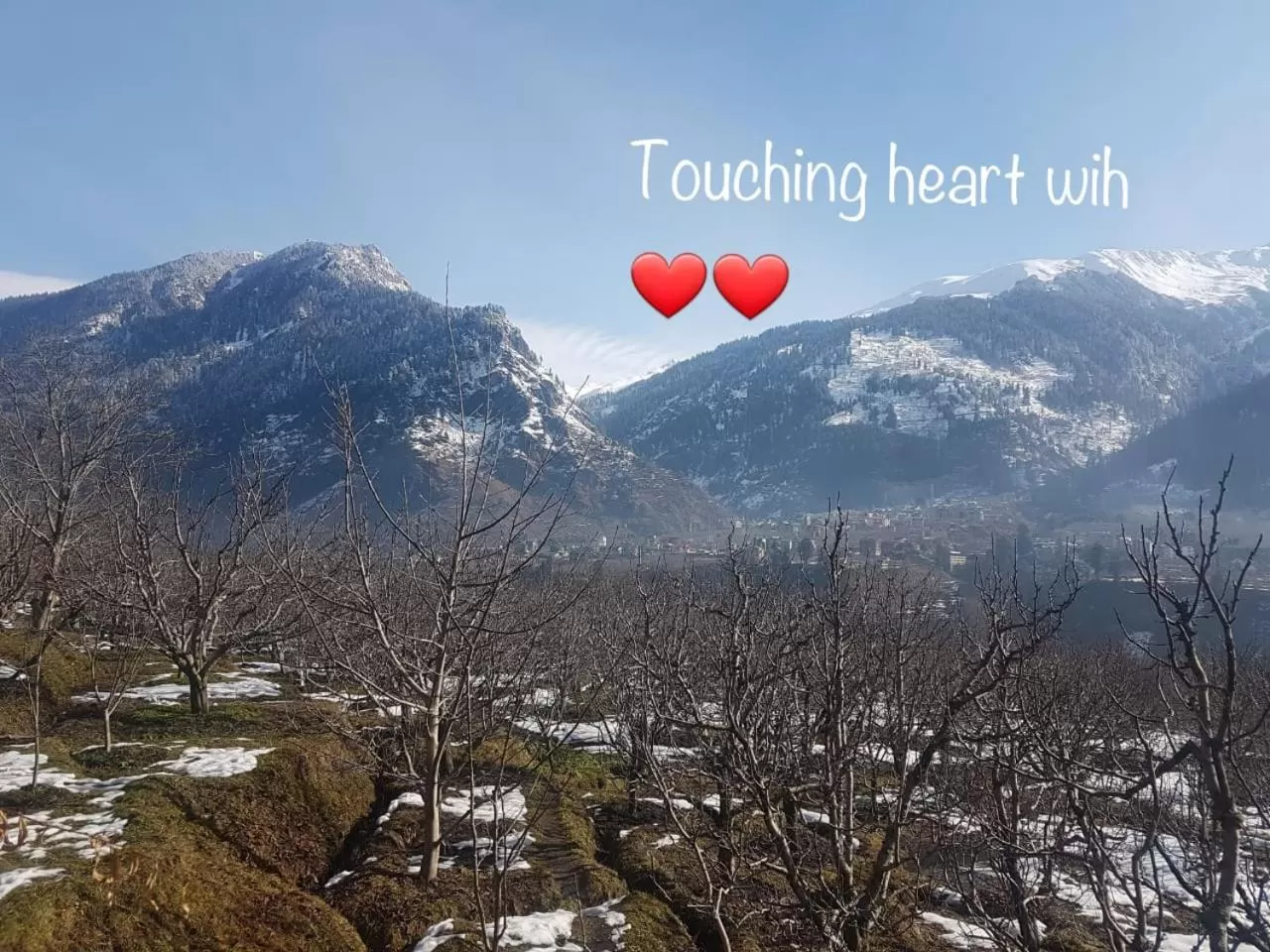 Natural landscape in Sai Cottage Shimla