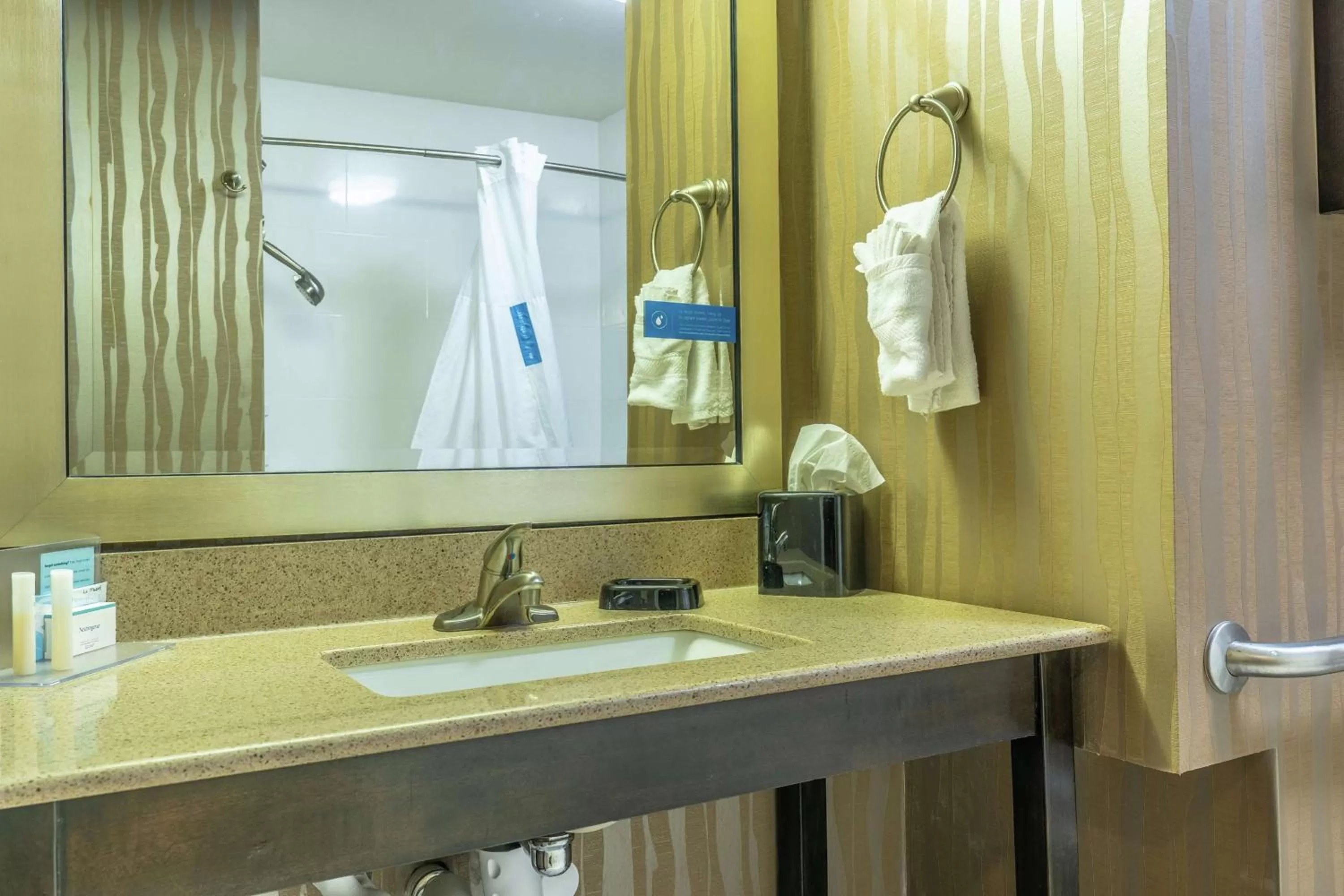 Bathroom in Hampton Inn Milledgeville