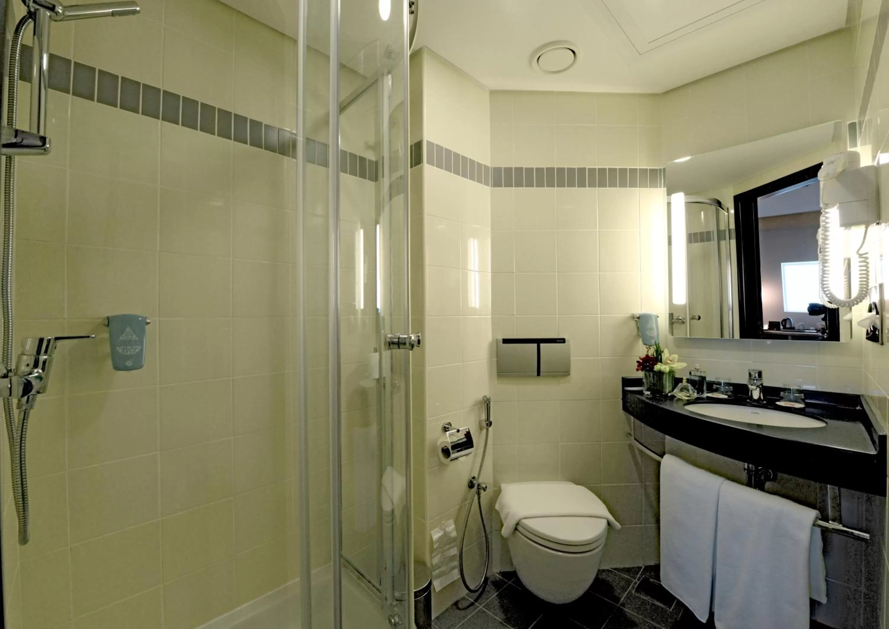 Shower in ibis Seef Manama