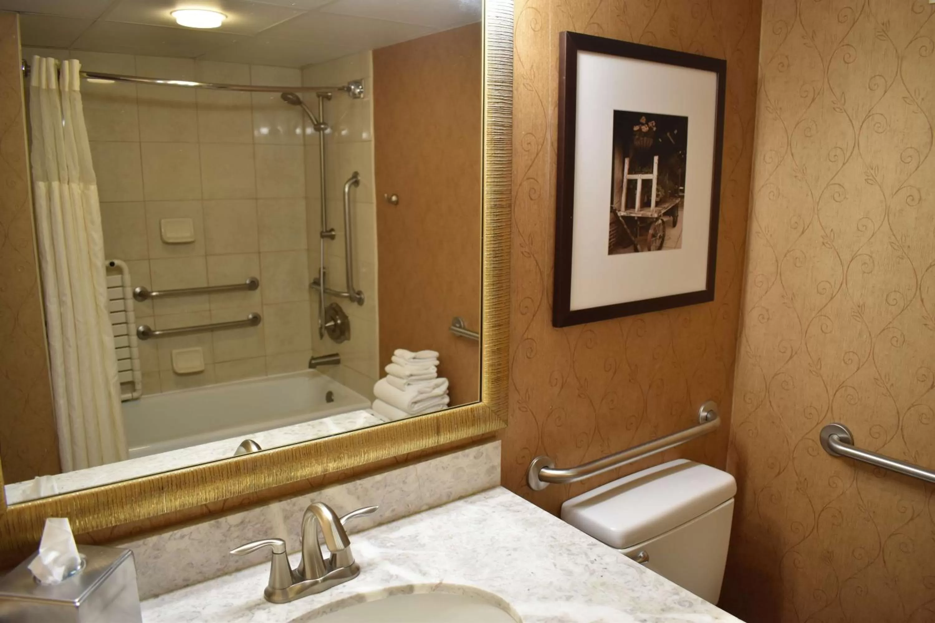 Bathroom in DoubleTree by Hilton Biltmore/Asheville