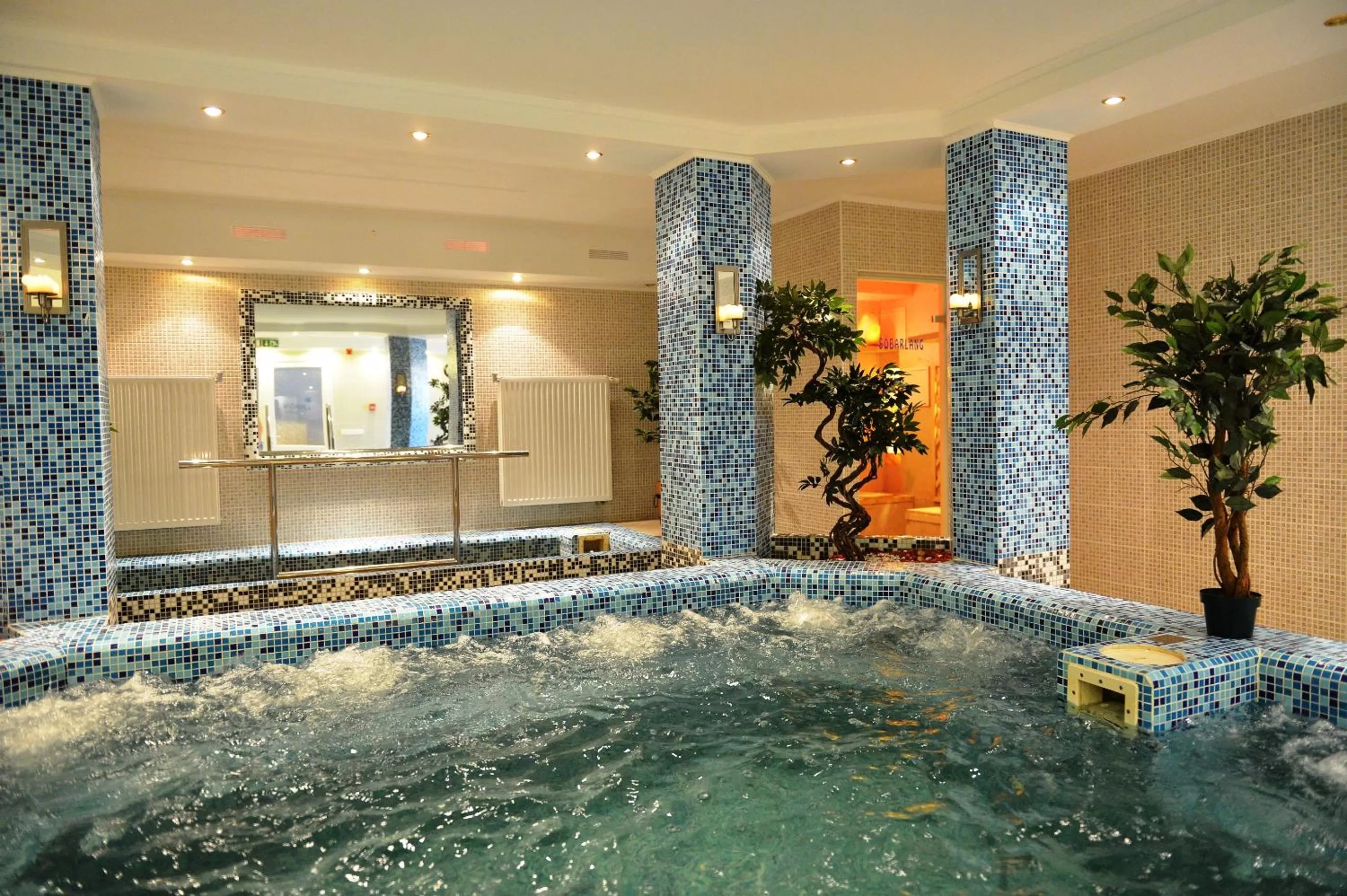 Hot Tub in Liza Aqua & Conference Hotel