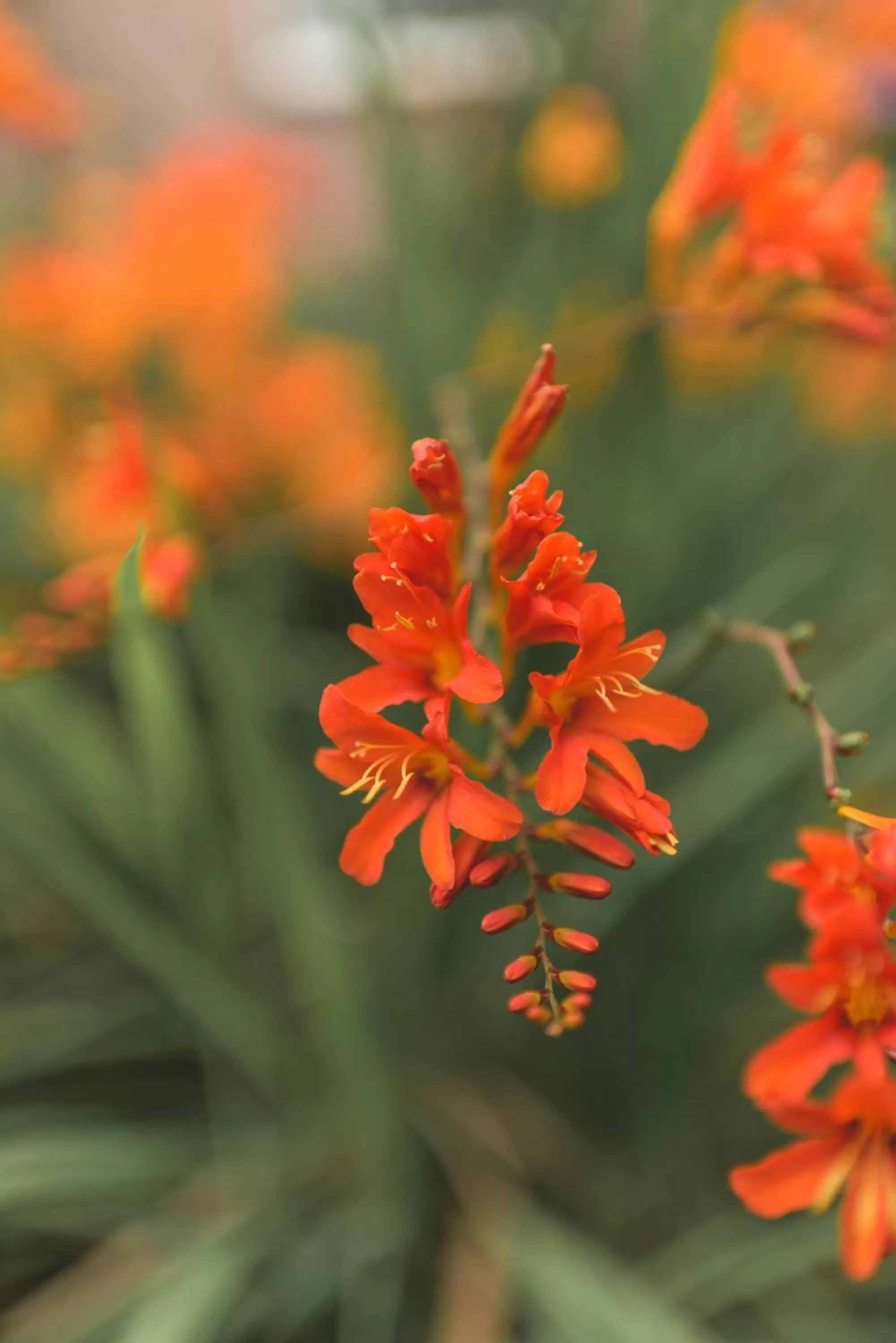 Other in Pinegrove Hotel