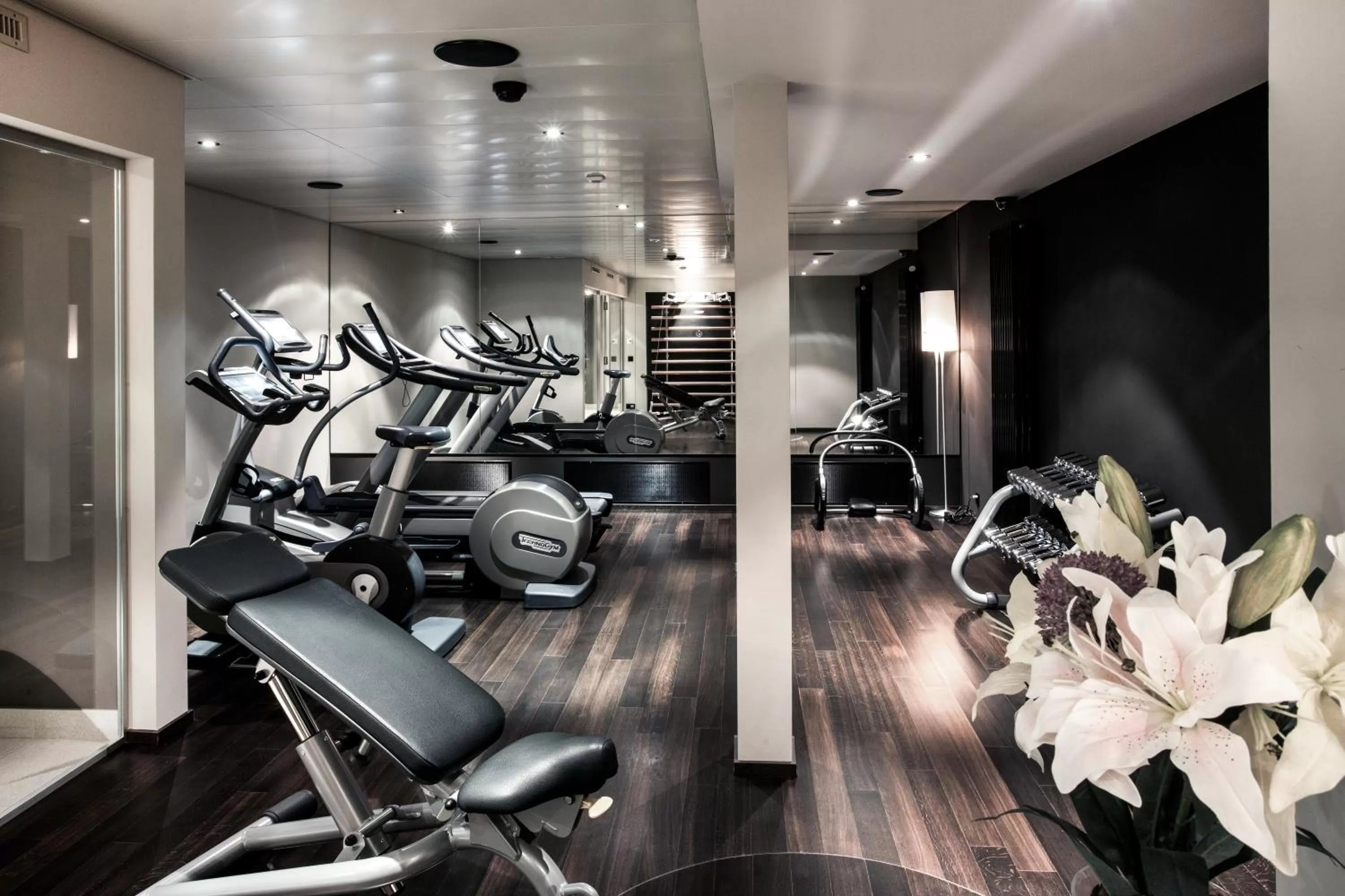 Fitness centre/facilities in Hotel D - Basel - Fully Renovated 2025