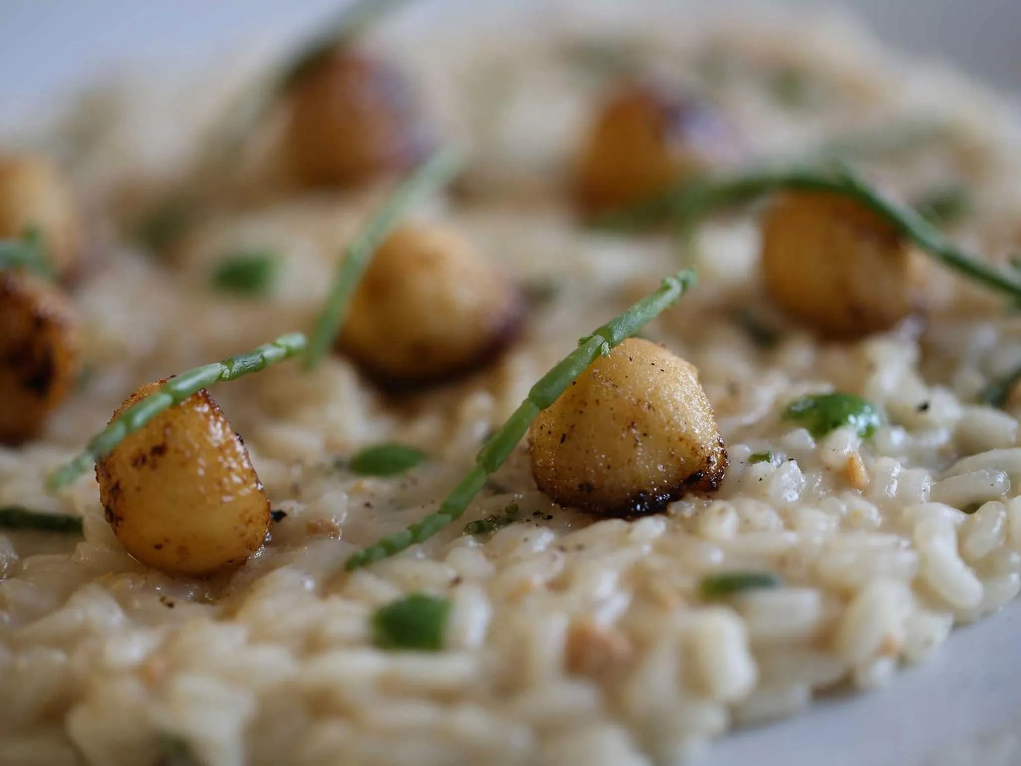 Restaurant/places to eat in Le Muse Hotel