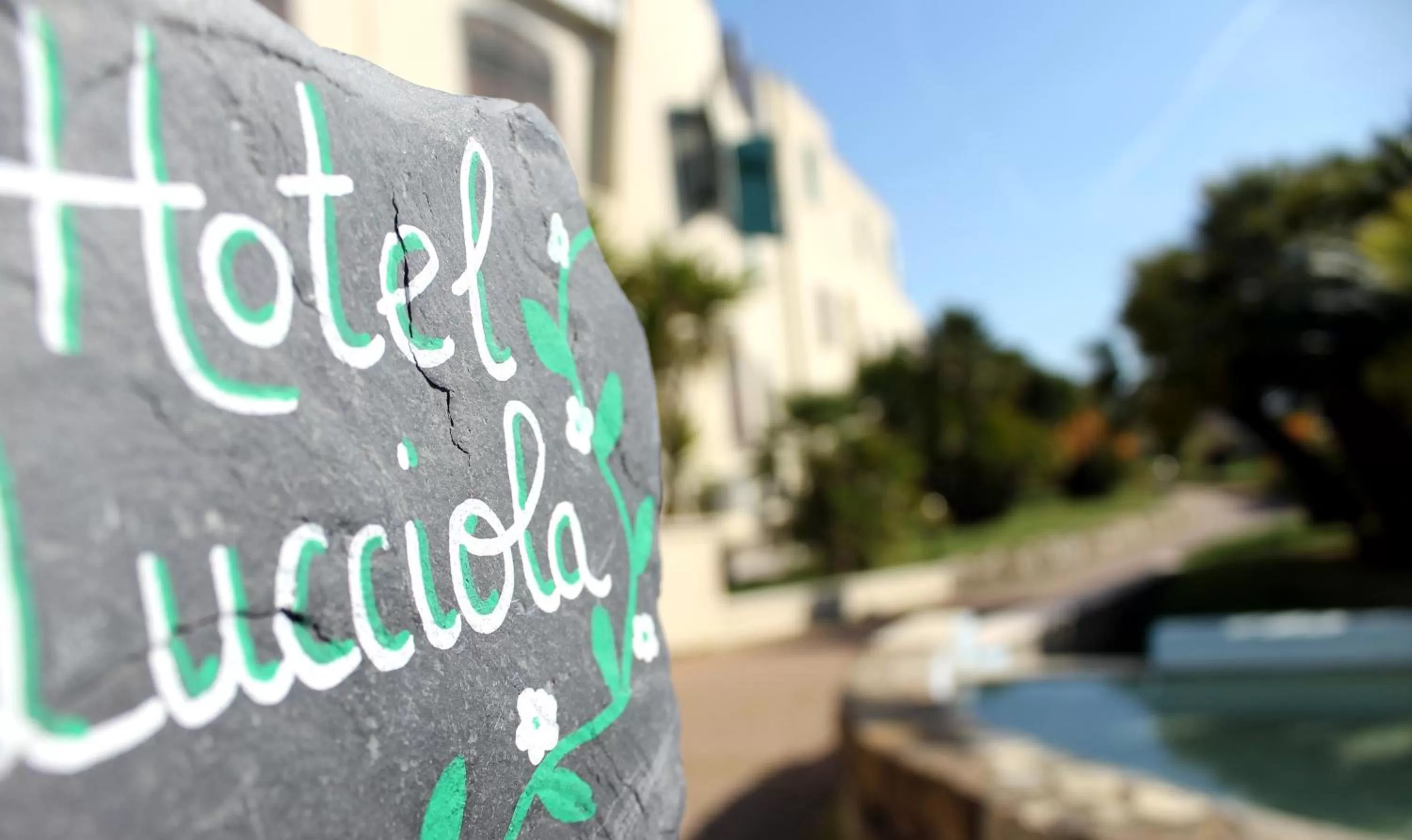 Other in Albergo Ristorante Lucciola