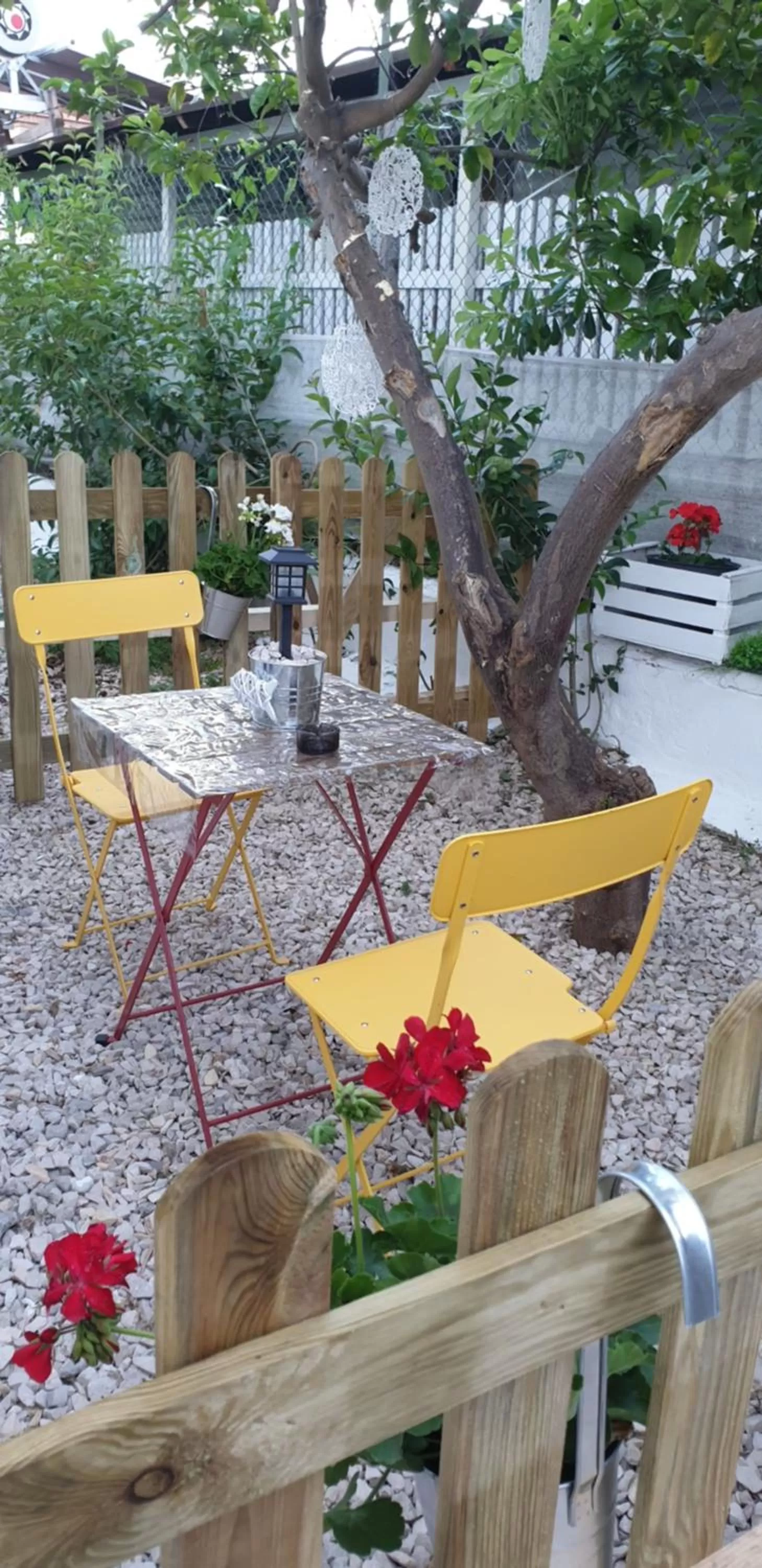 Garden, Restaurant/Places to Eat in UN PASSO DAL MARE bed&breakfast San Salvo Marina