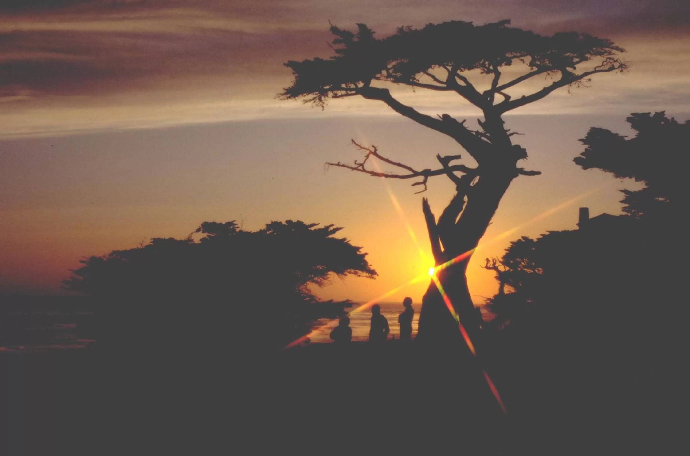 Area and facilities in Spindrift Inn