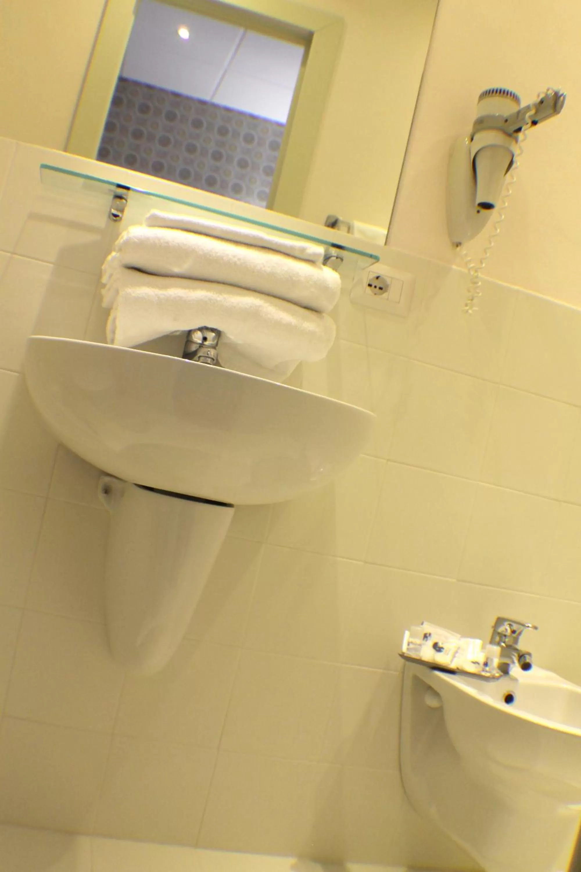 Toilet in Hotel Bernina