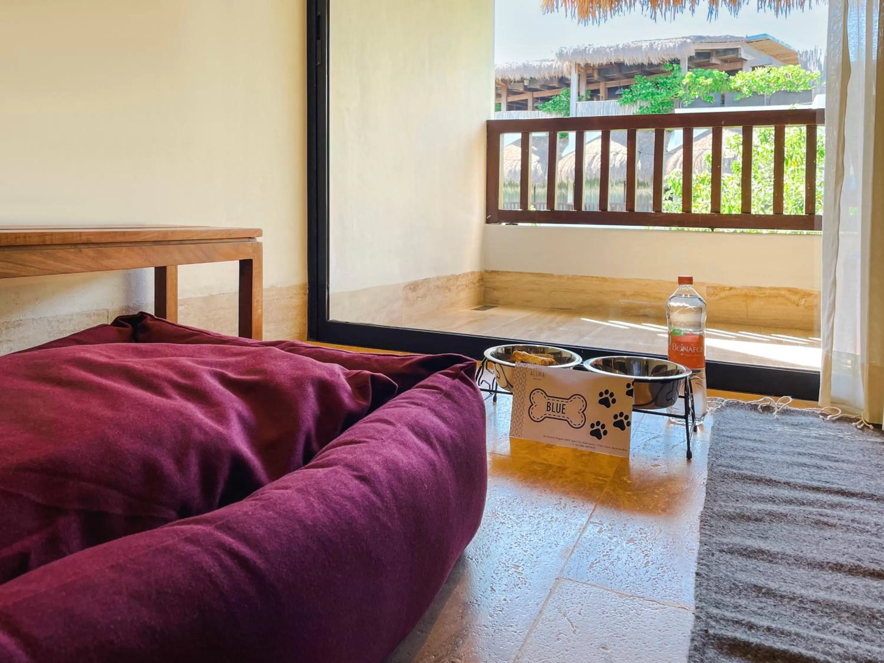 Pets in Kimpton Aluna Resort Tulum by IHG