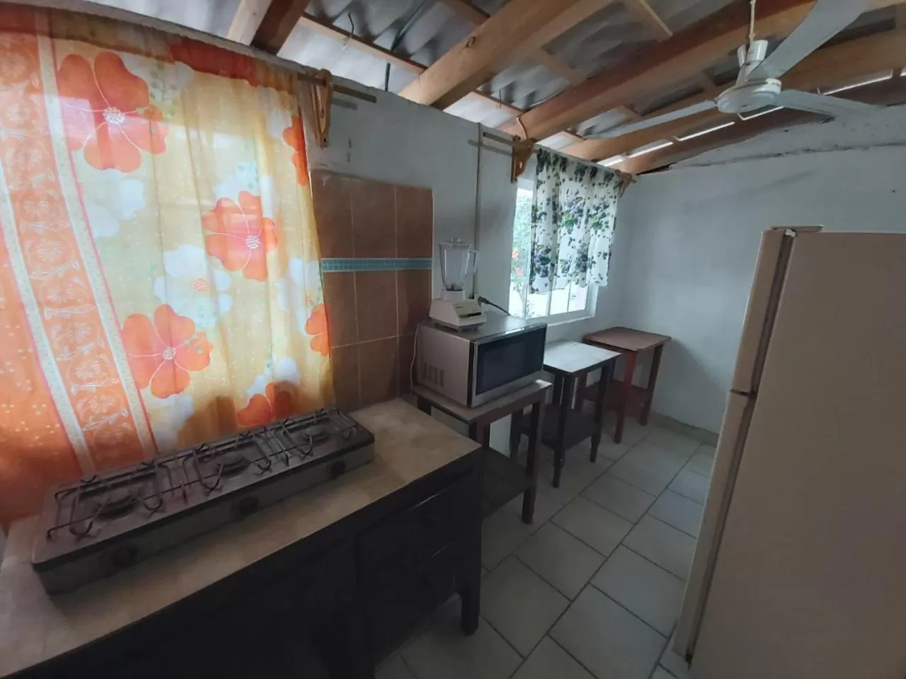 Kitchen or kitchenette in Hotel Ayalamar Manzanillo