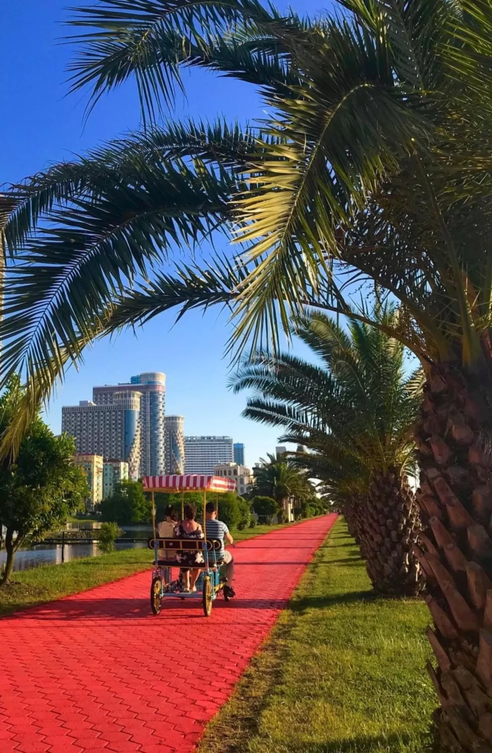 Day, Garden in Batumi Inn Aparthotel With Sea View
