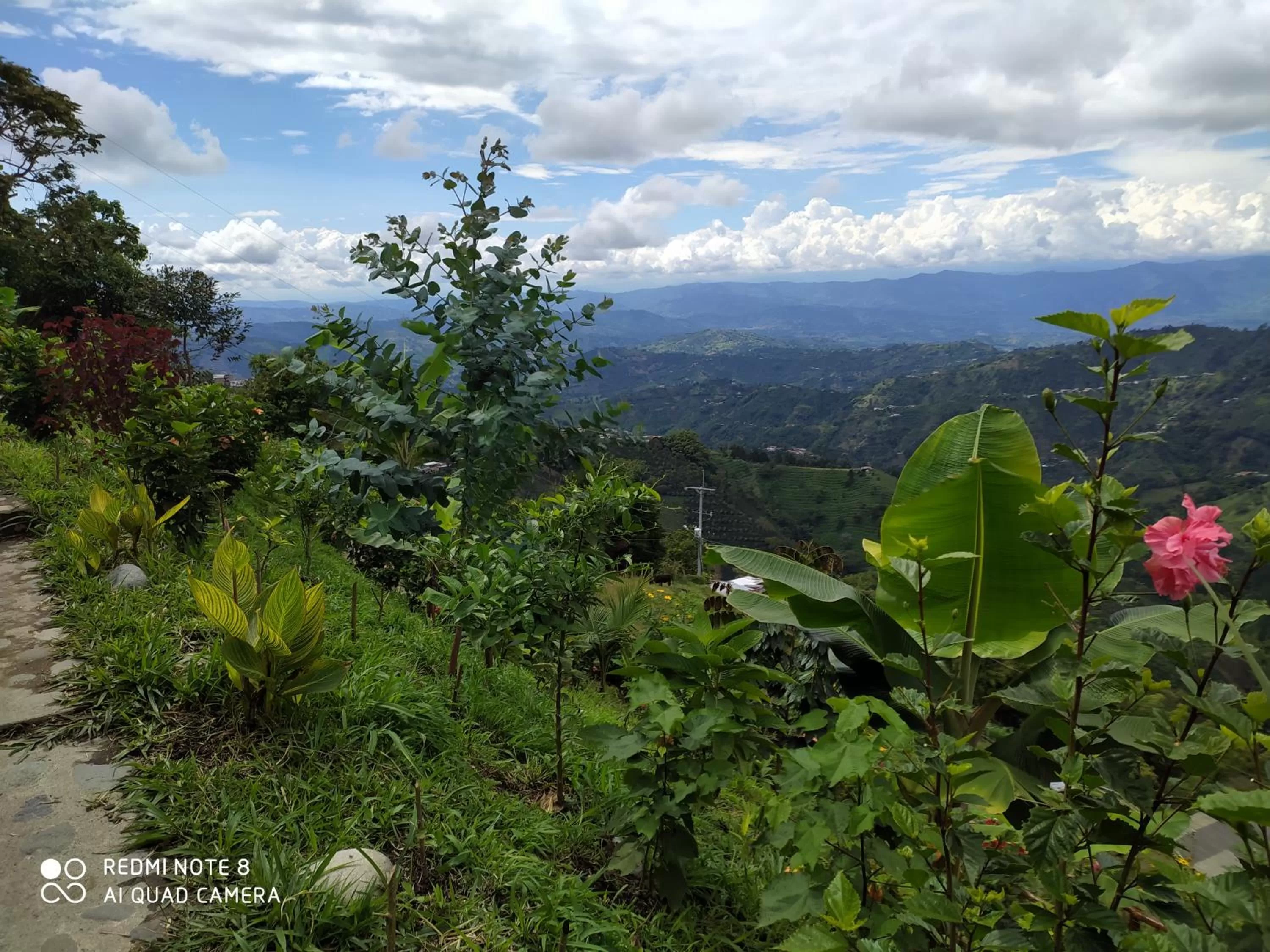 Mirador Finca Morrogacho
