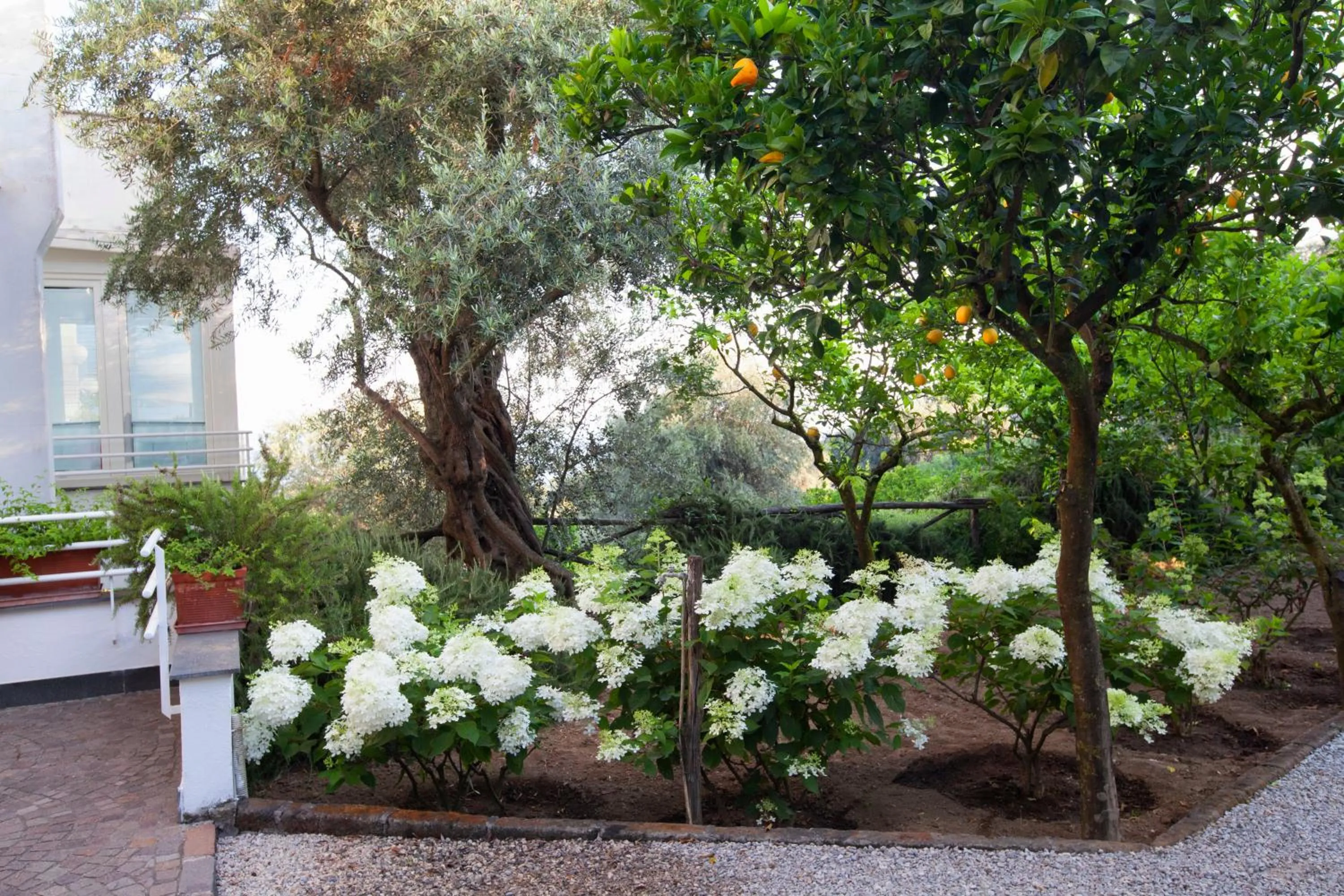 Garden in Villa Oriana Relais