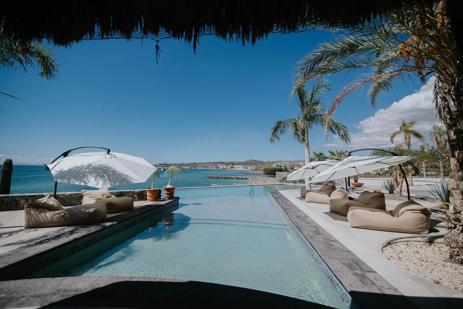 View (from property/room) in Orchid House Baja