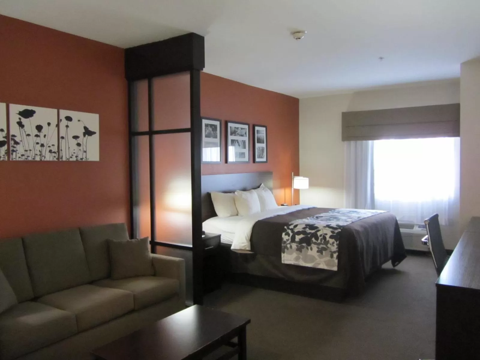 King Suite - Non-Smoking in Sleep Inn & Suites Lubbock West