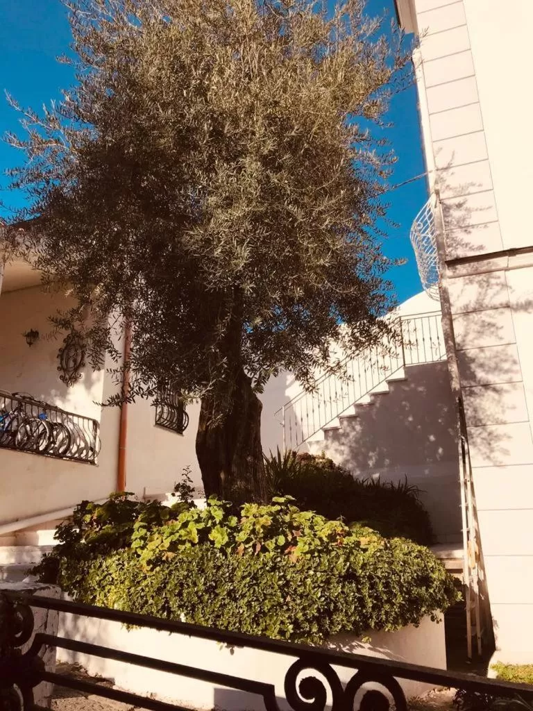 Facade/entrance in B&B Casa Maria Vittoria