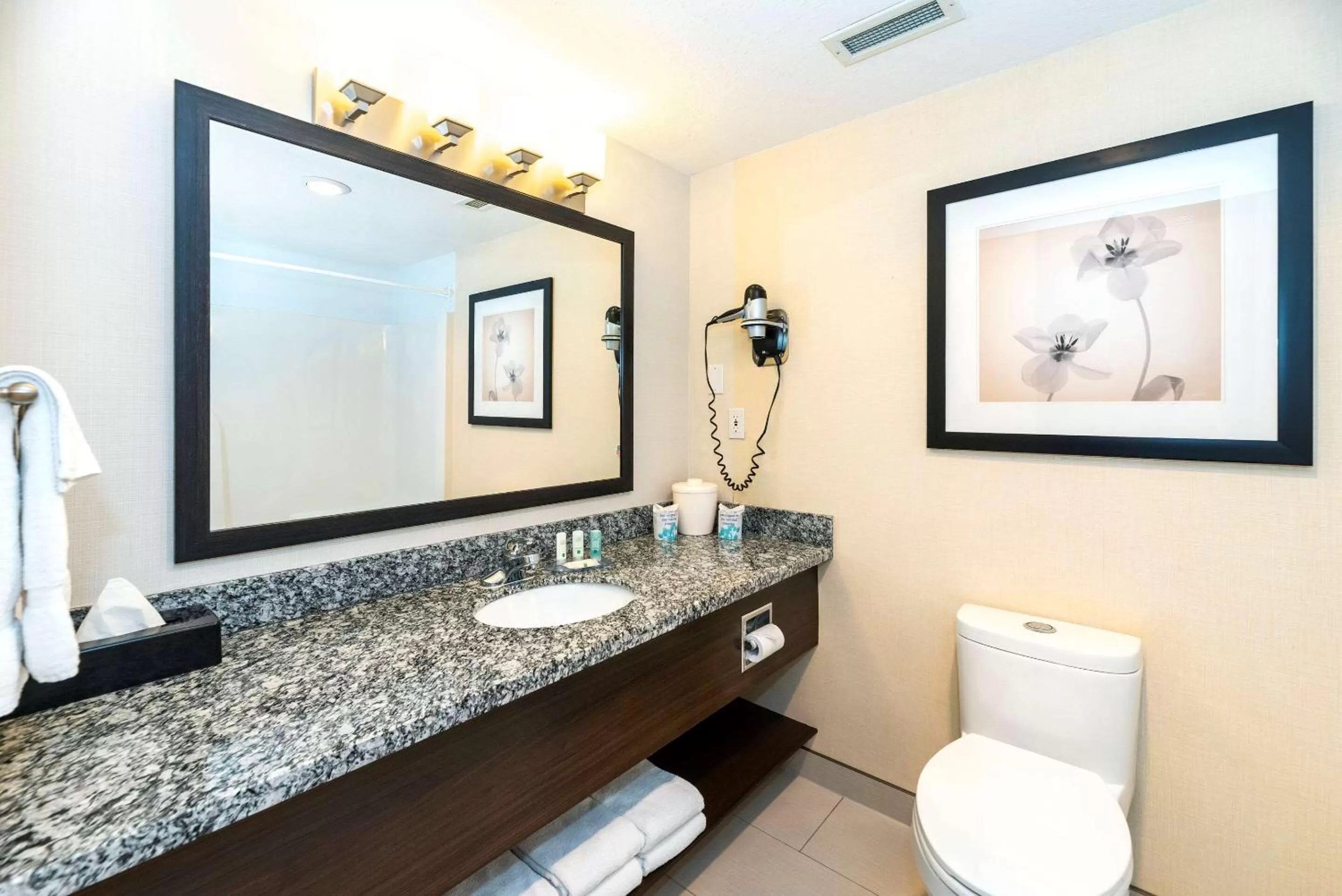 Bathroom in Quality Inn