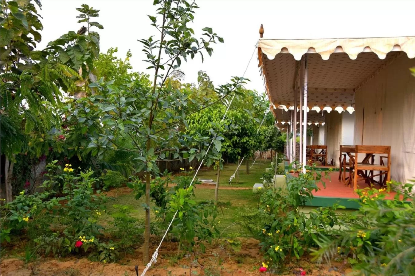 Garden in Madho Bagh