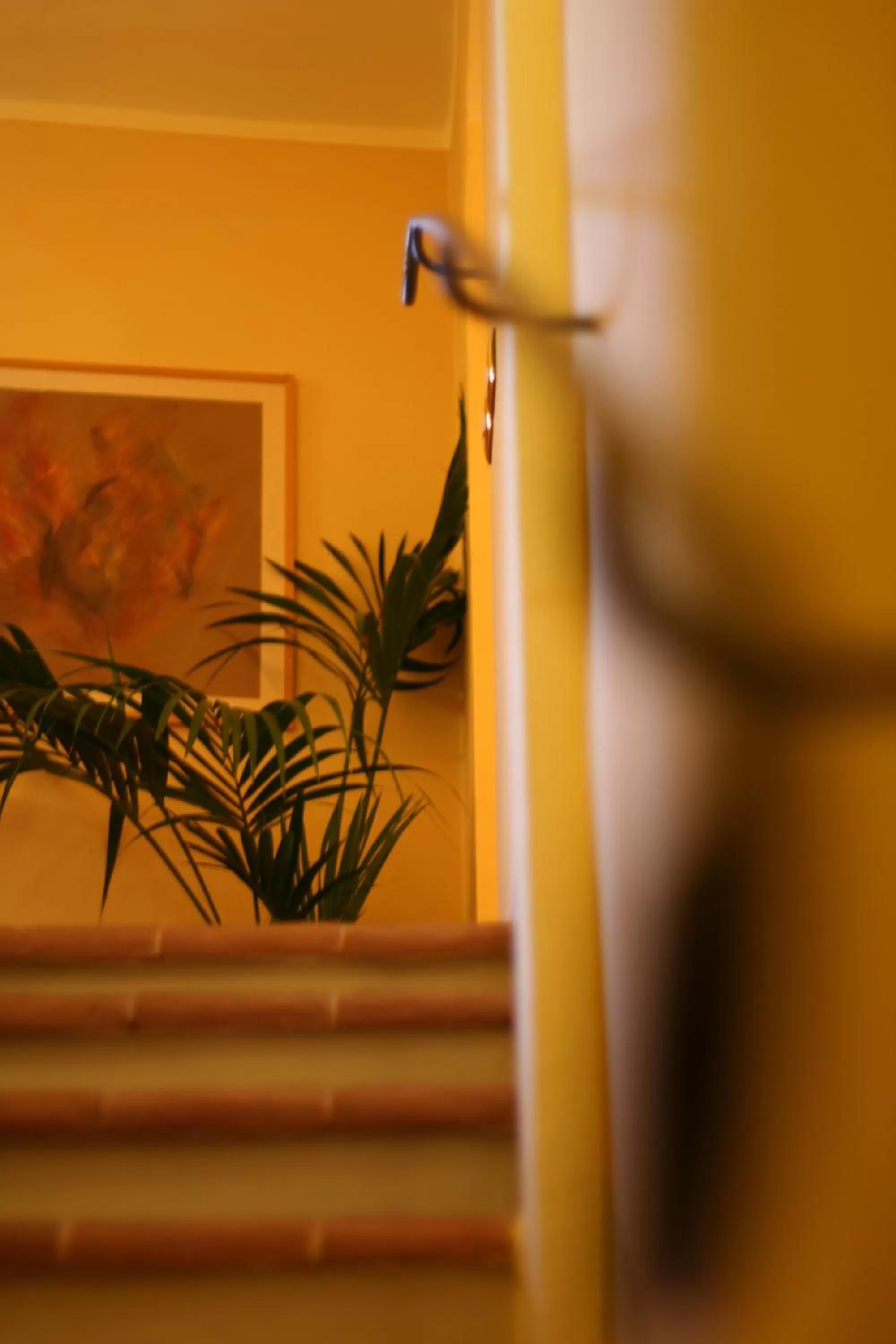 Other in La Locanda Di San Francesco