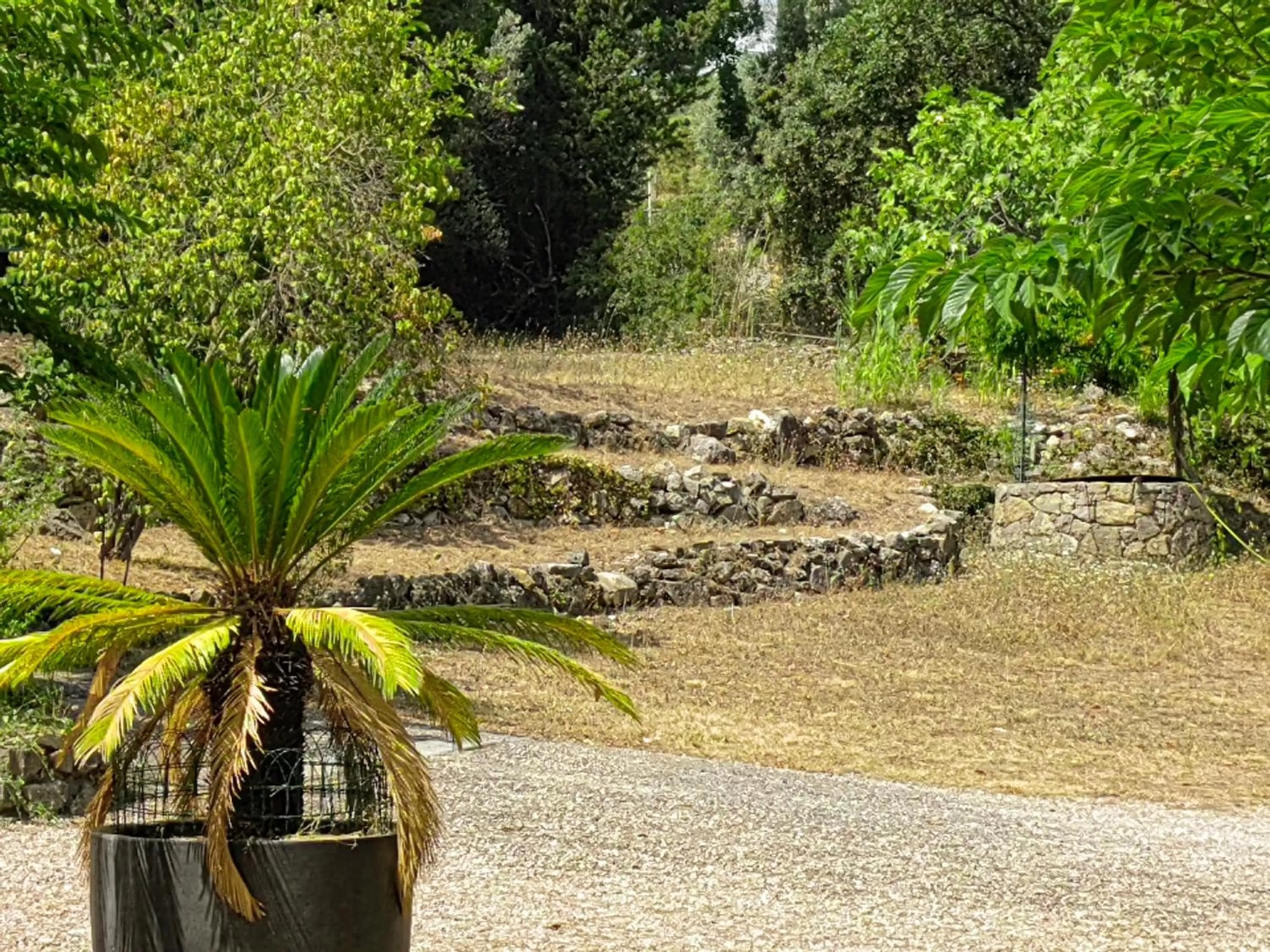 Garden in Villa Bayarde