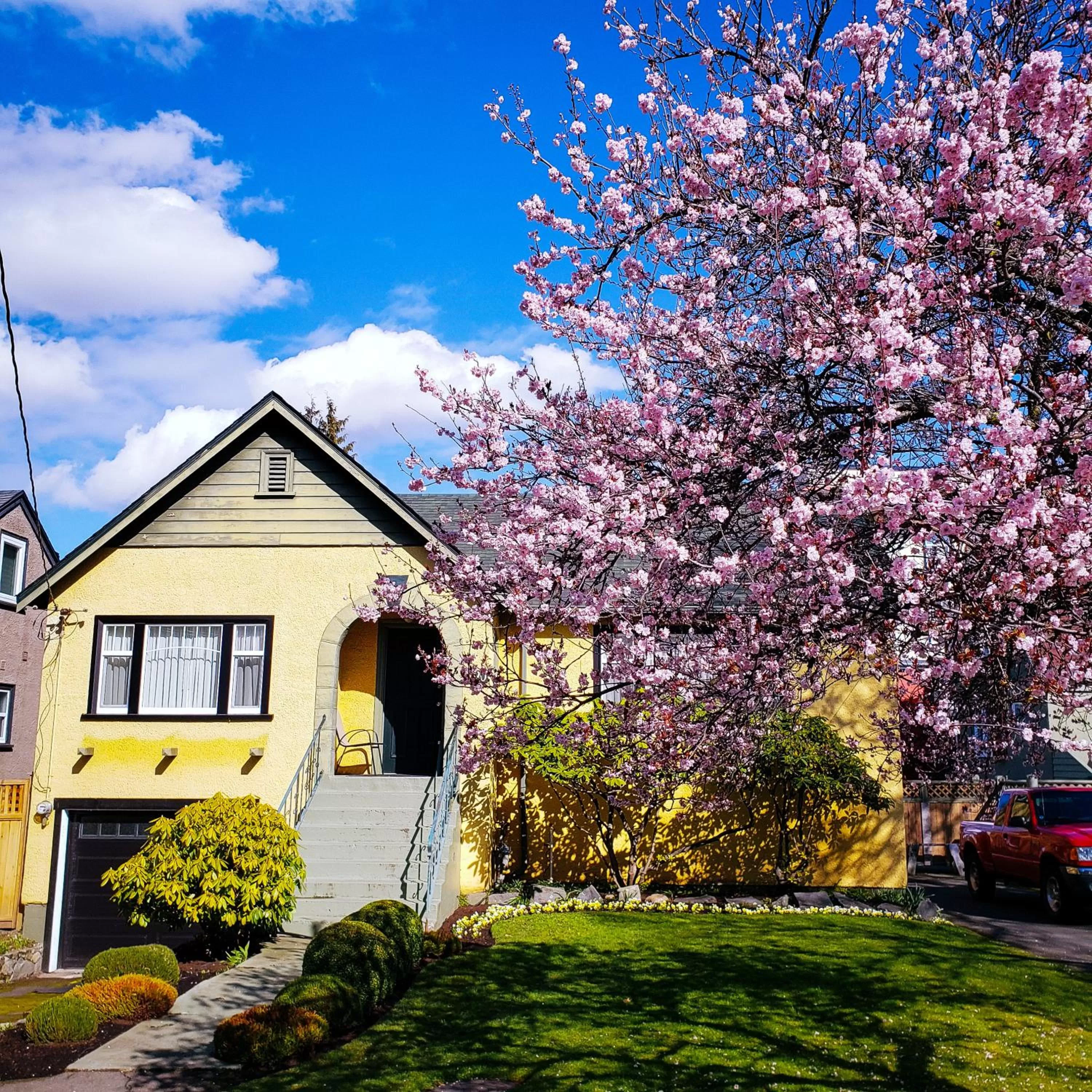 Street view in James Bay Inn Hotel, Suites & Cottage