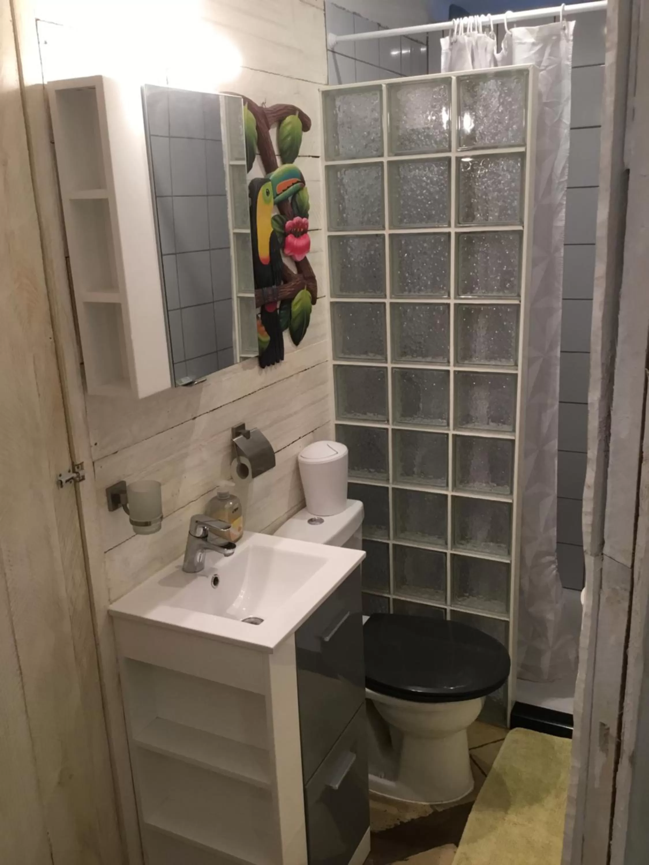 Shower in Gîte Studio "La Cambra dé Monflanquin" Studio Cottage