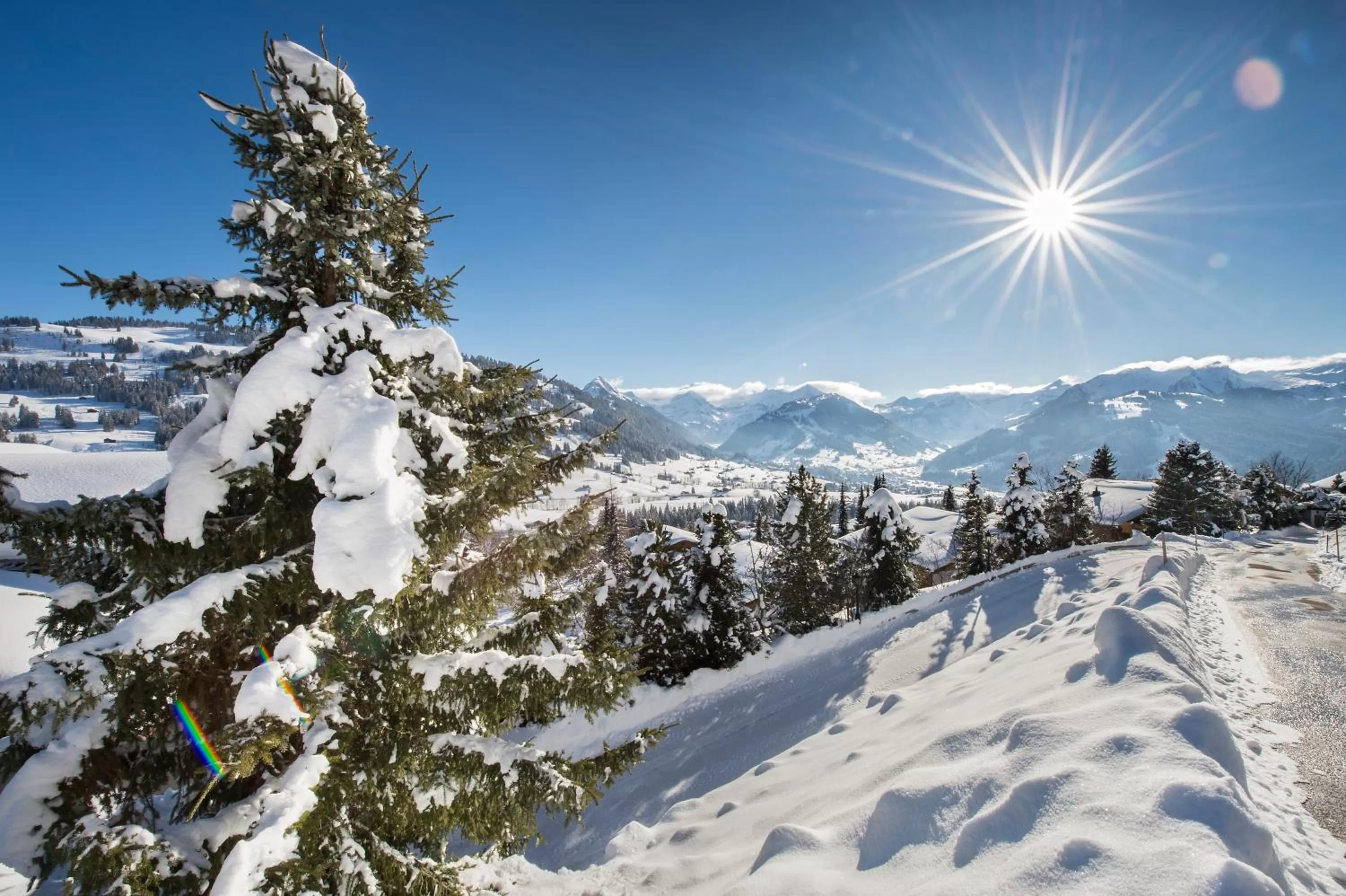 Mountain view in Hotel Le Grand Chalet Gstaad