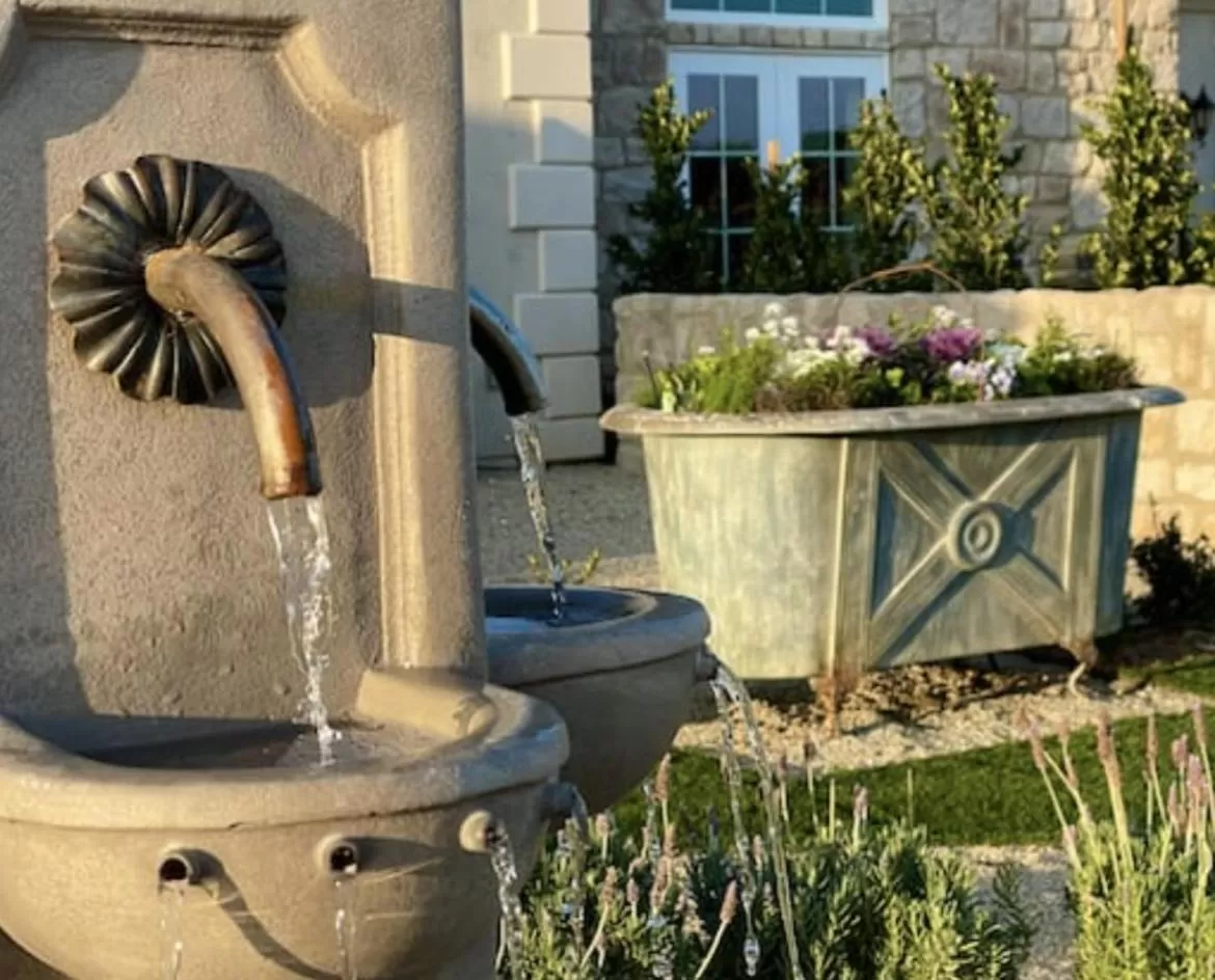 Day in Domaine Chardonnay