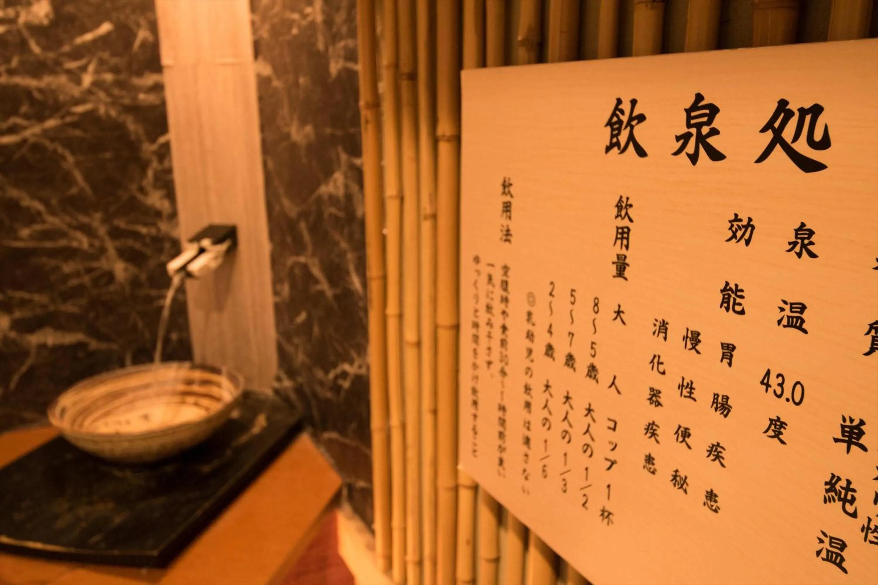 Hot Spring Bath in Ito Ryokuyu