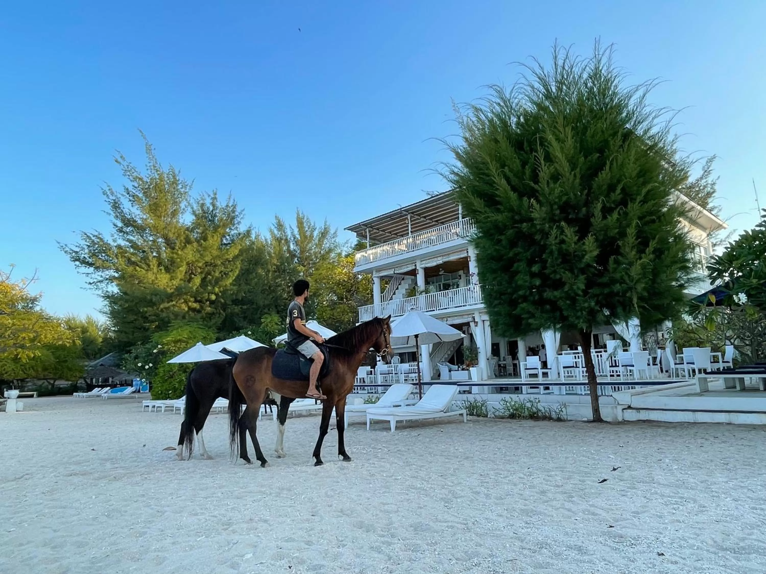 Horse-riding in Seri Resort Gili Meno - Adults Only