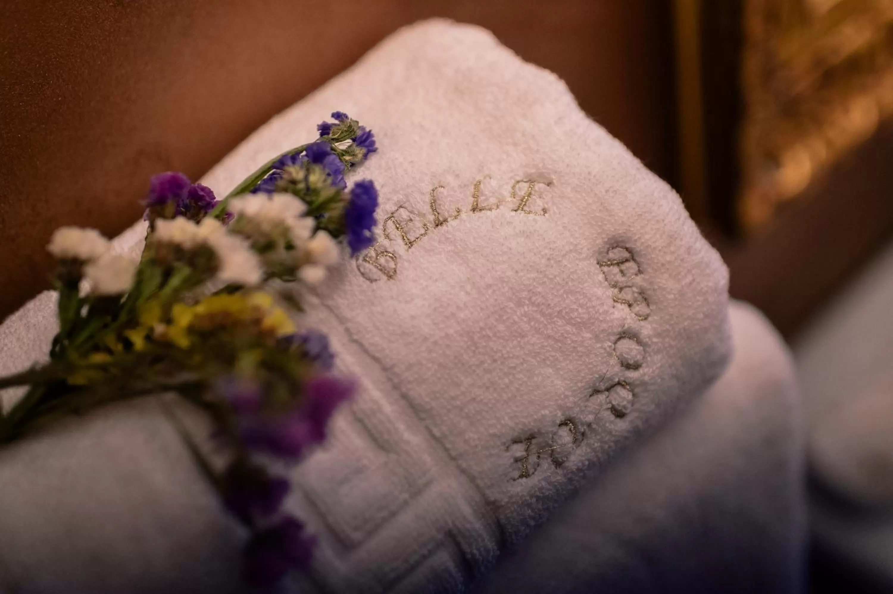 Property logo or sign, Spa/Wellness in Belle Epoque Boutique (Adult Only)